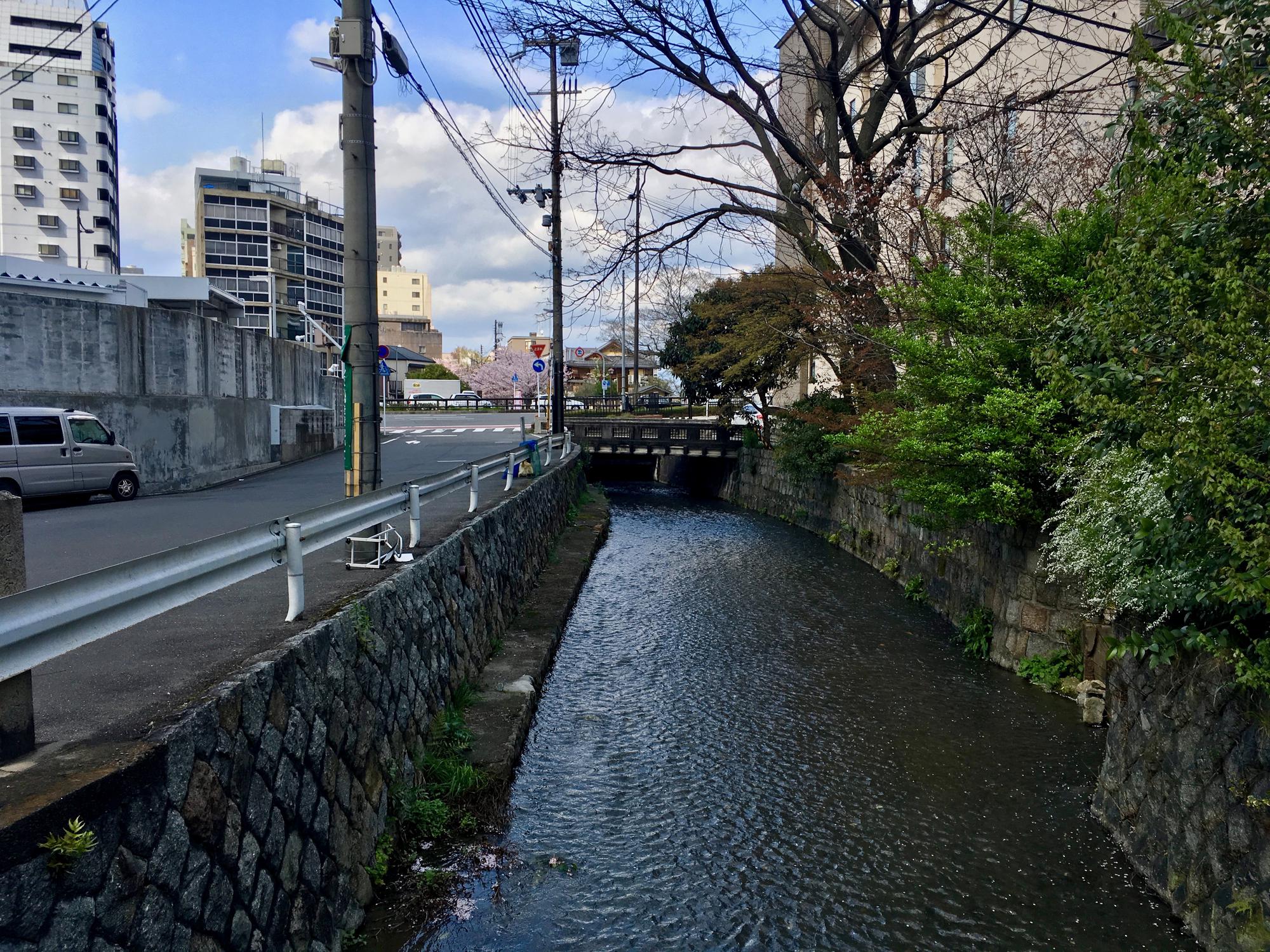 🇯🇵 Kyoto, Japan, April 2017.