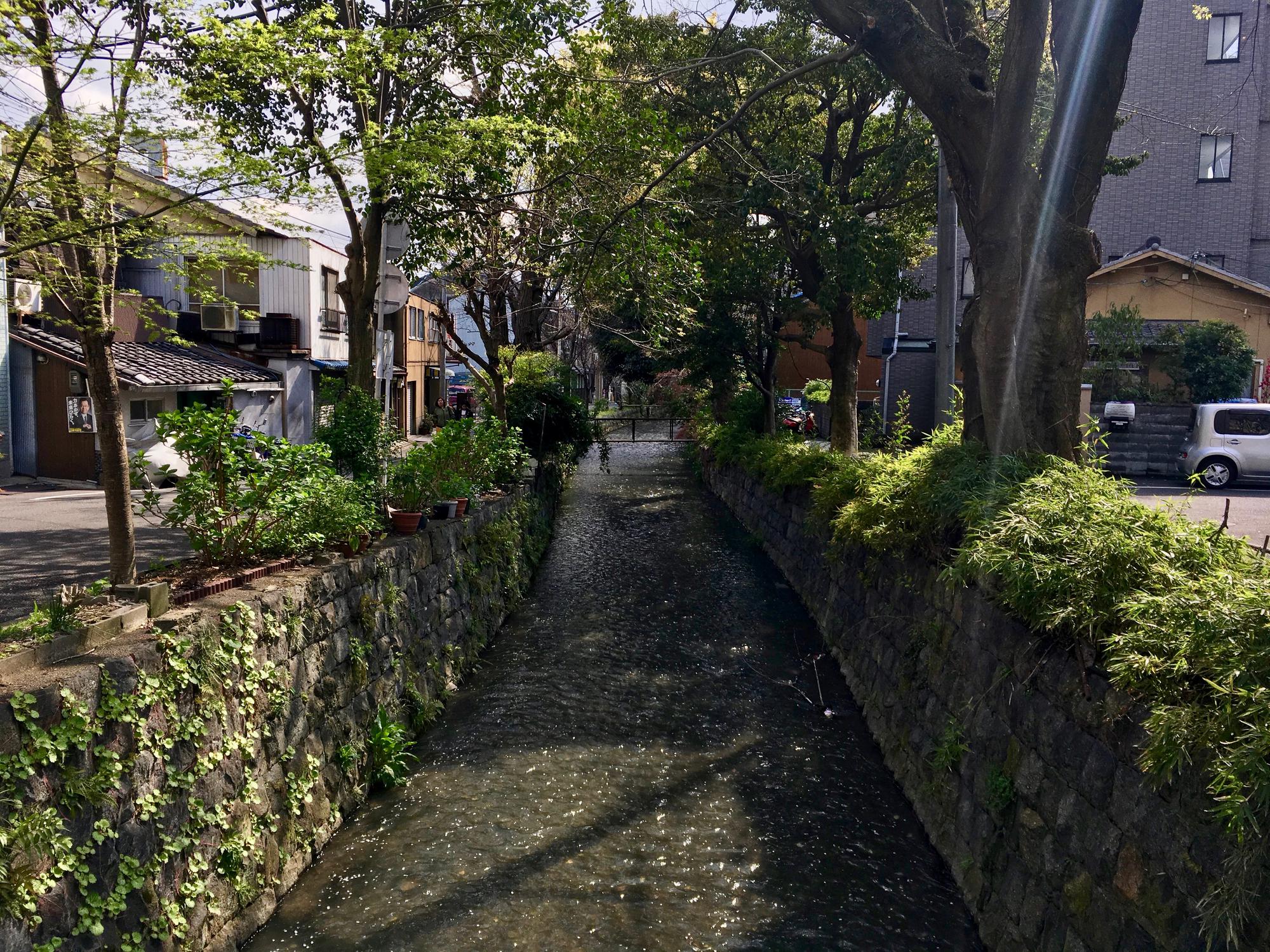 🇯🇵 Kyoto, Japan, April 2017.