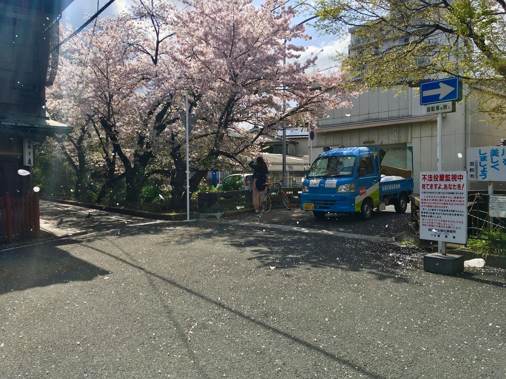 🇯🇵 Kyoto, Japan, April 2017.