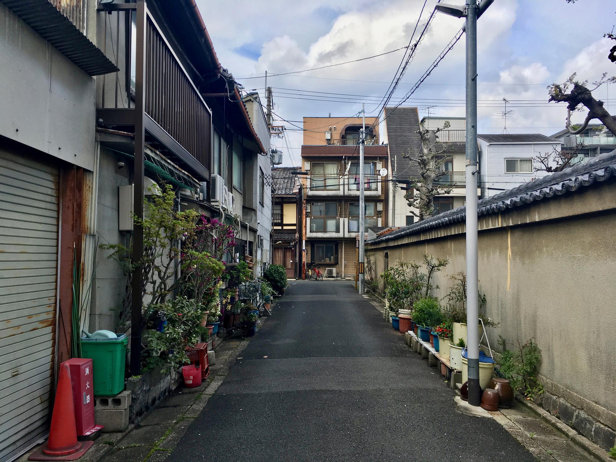 🇯🇵 Kyoto, Japan, April 2017.