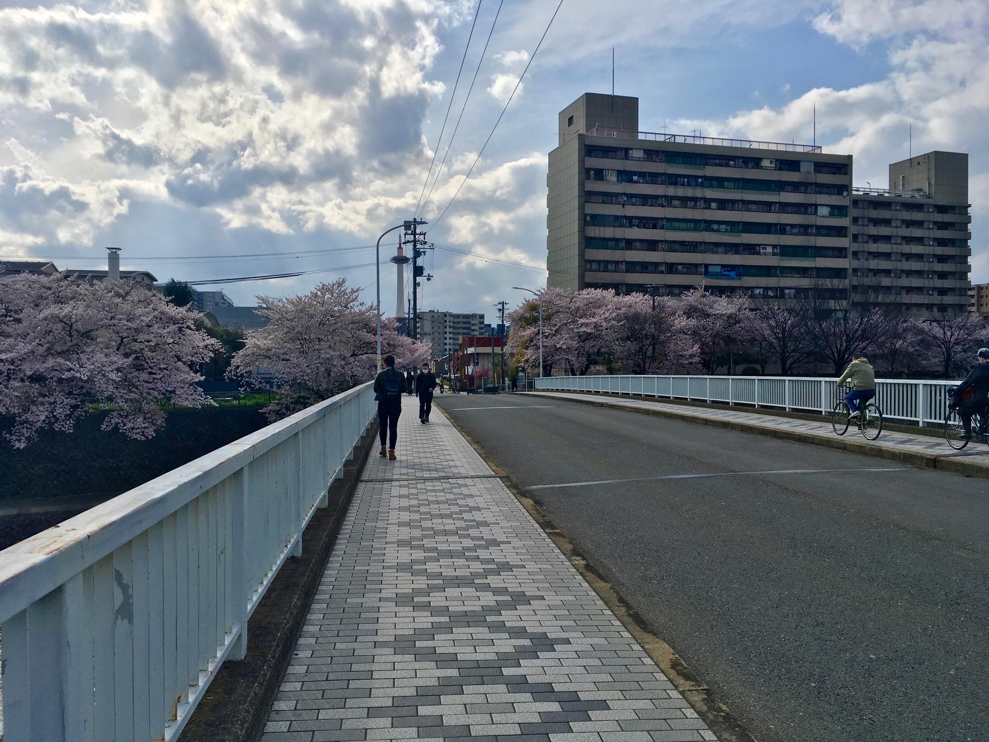 🇯🇵 Kyoto, Japan, April 2017.