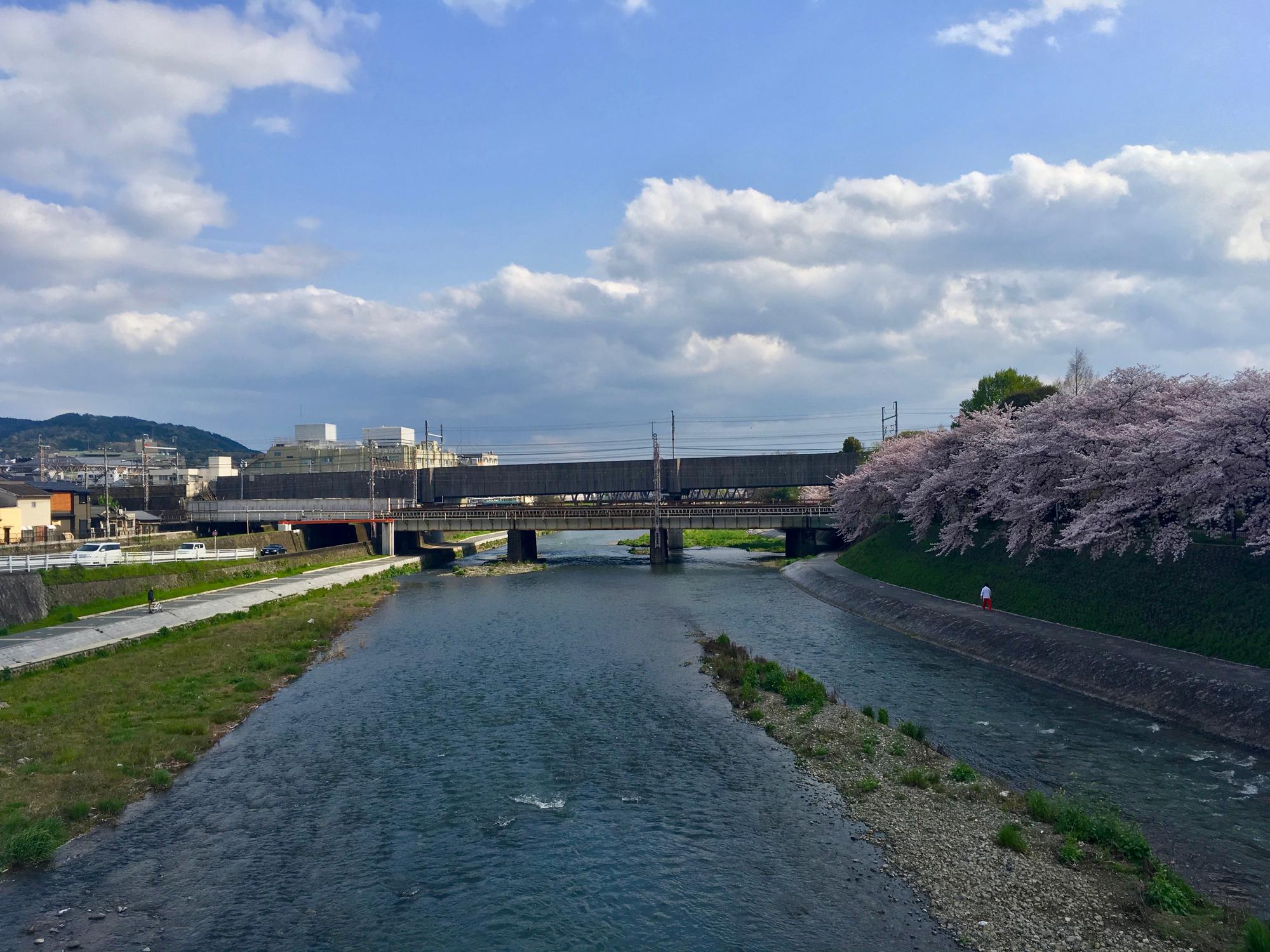 🇯🇵 Kyoto, Japan, April 2017.