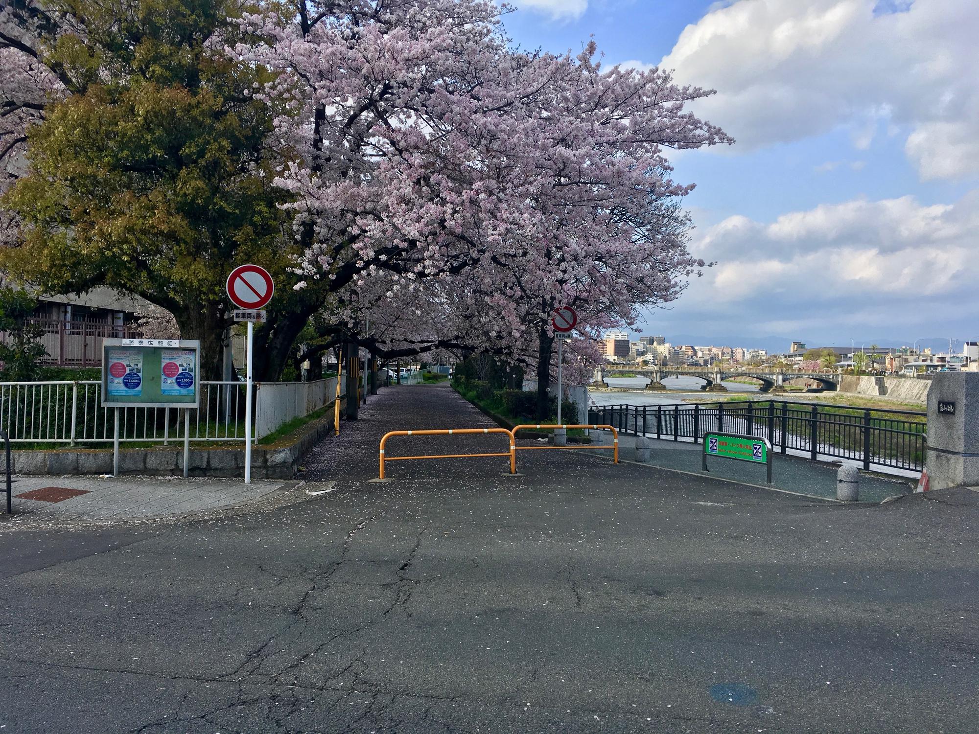 🇯🇵 Kyoto, Japan, April 2017.