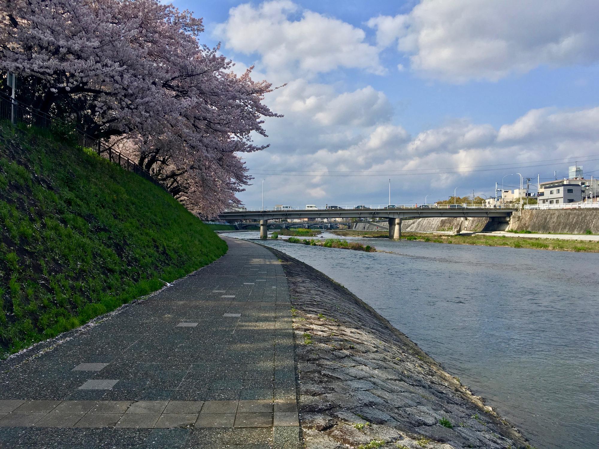 🇯🇵 Kyoto, Japan, April 2017.