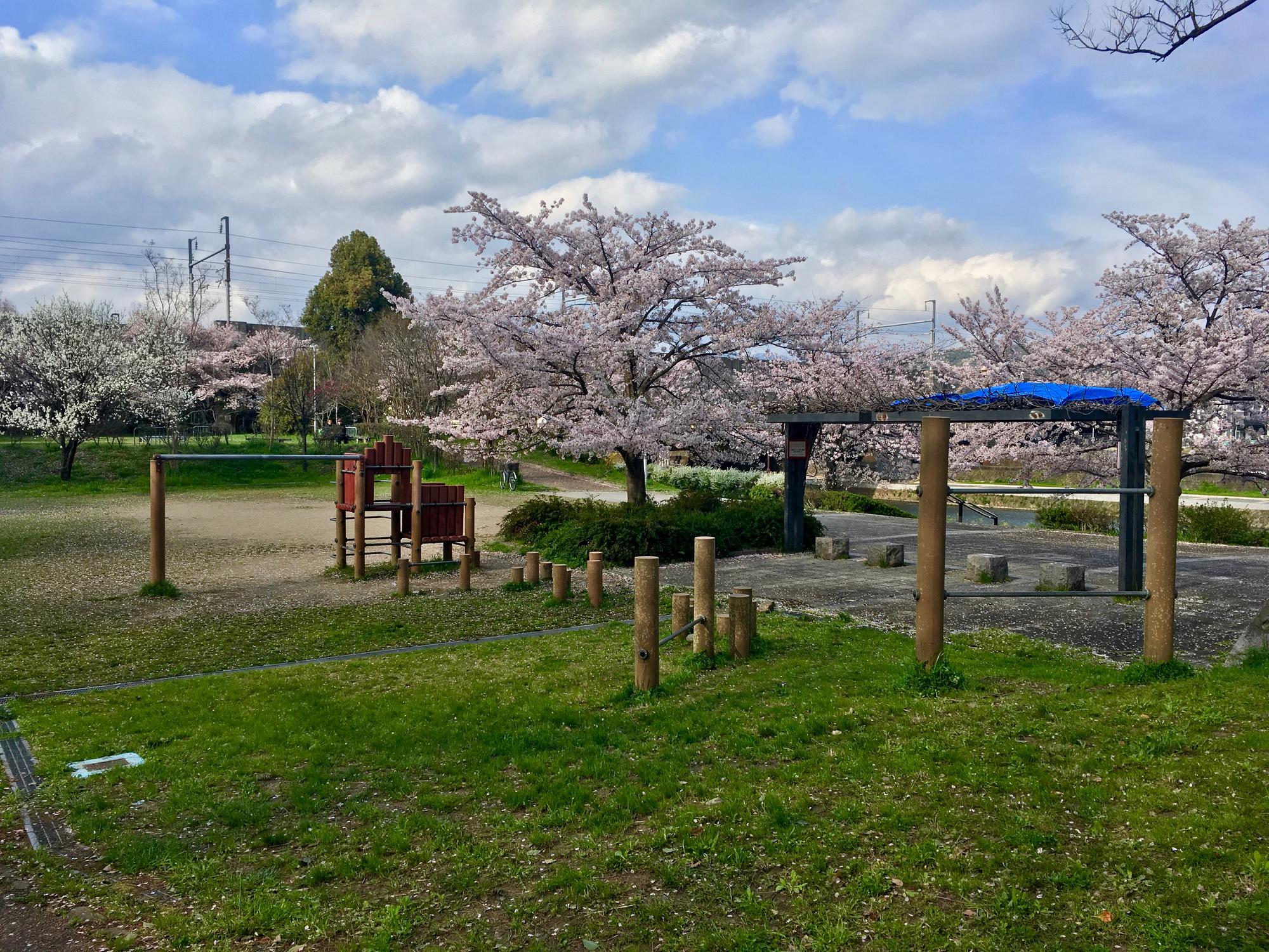 🇯🇵 Kyoto, Japan, April 2017.