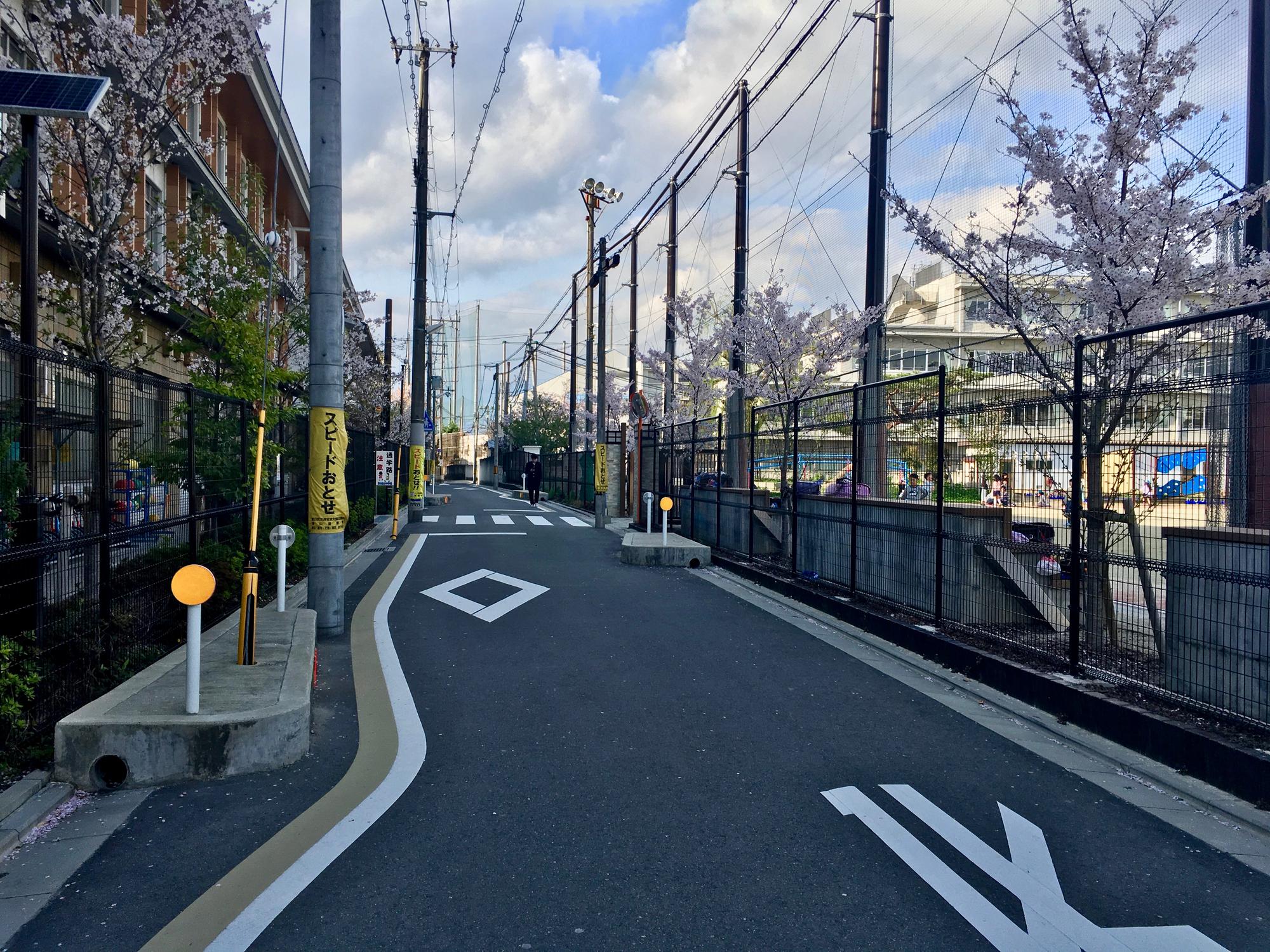 🇯🇵 Kyoto, Japan, April 2017.