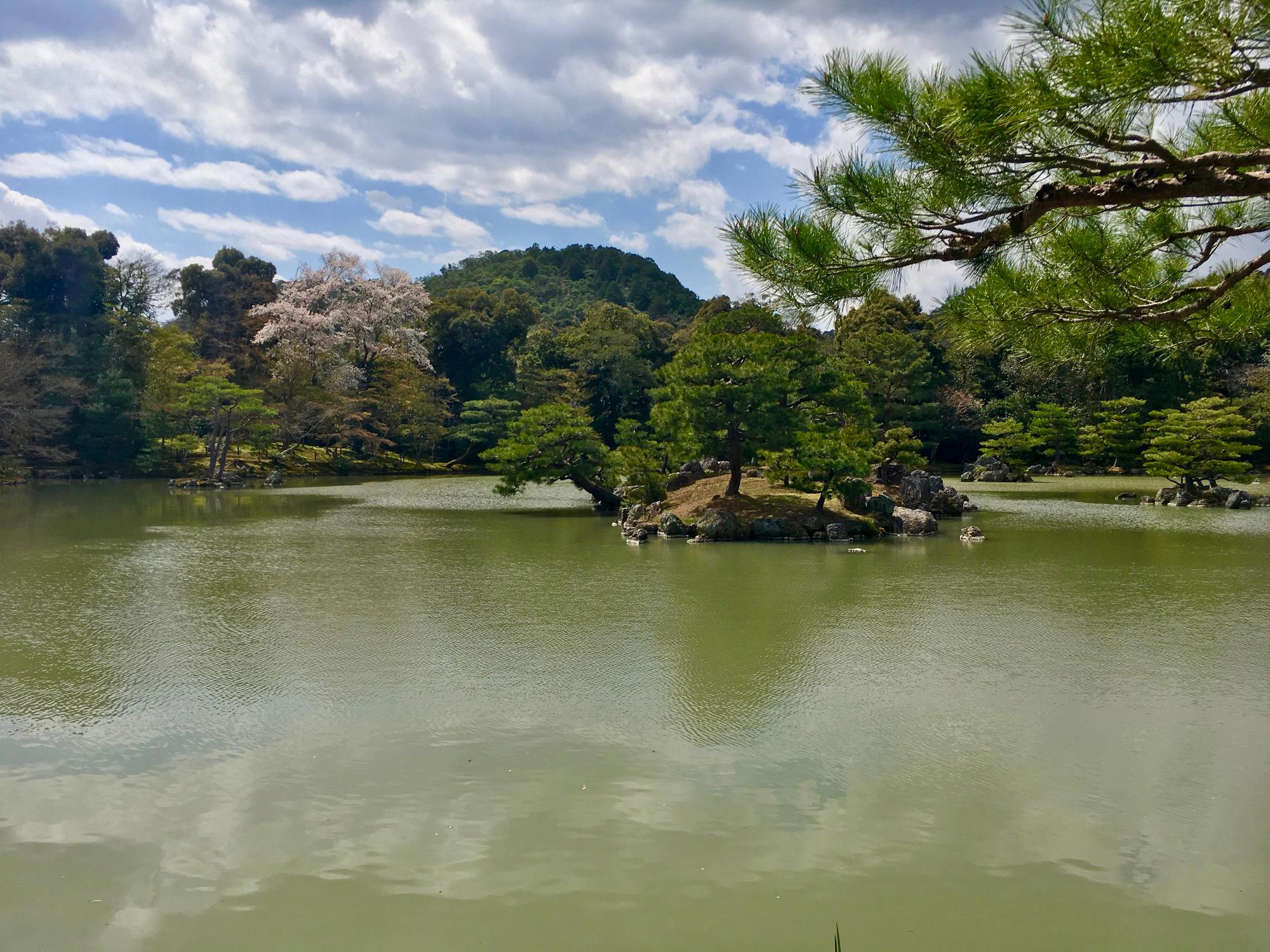 🇯🇵 Kyoto, Japan, April 2017.