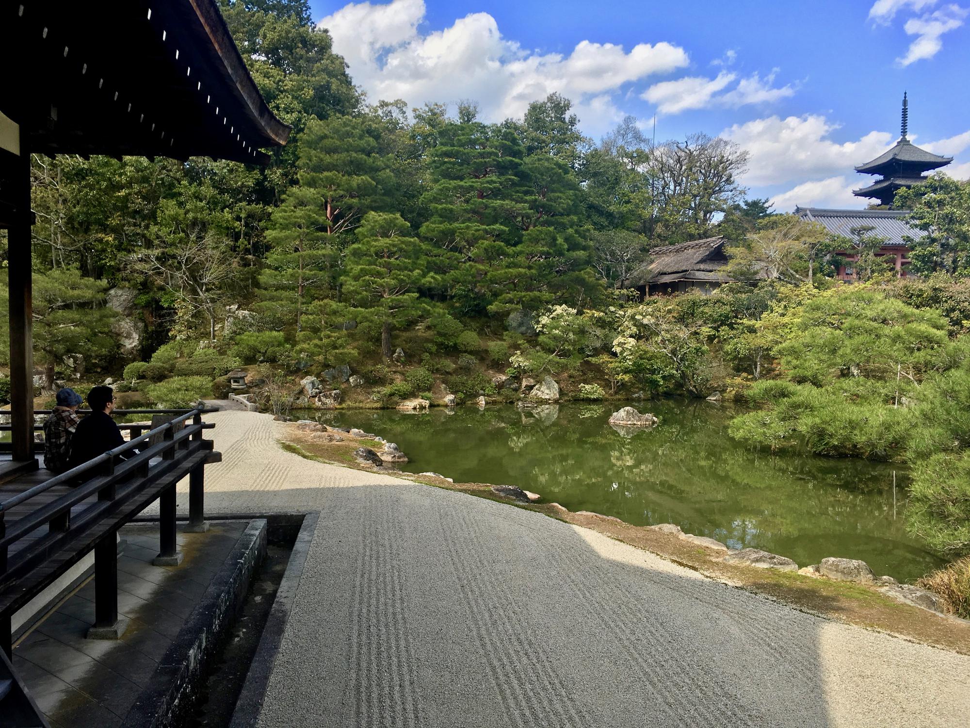 🇯🇵 Kyoto, Japan, April 2017.