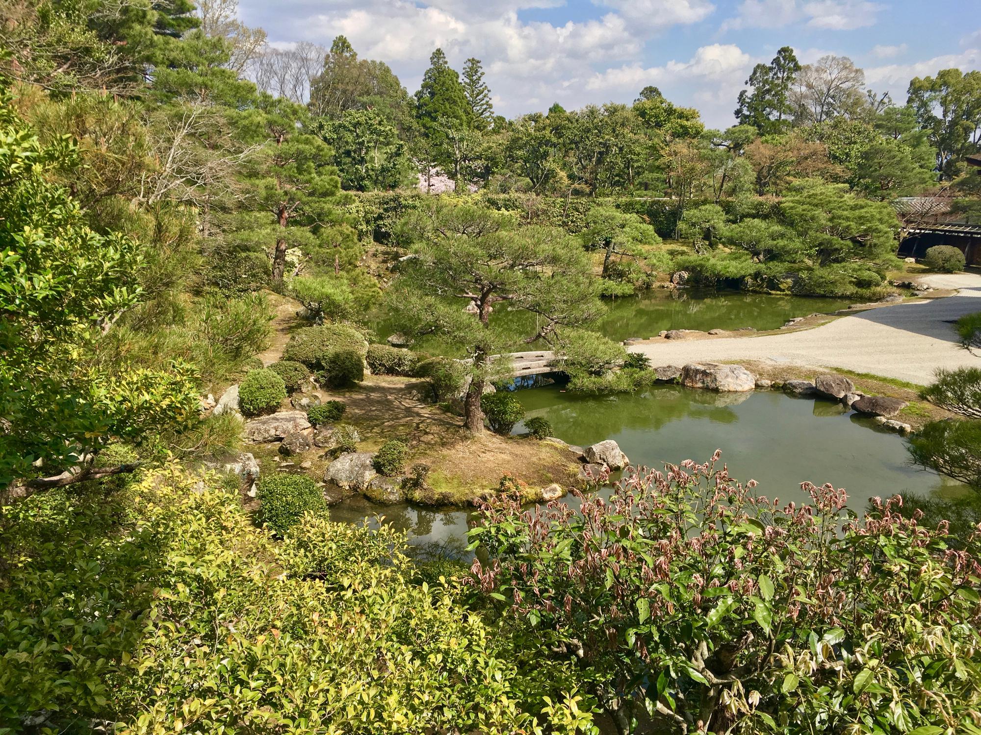 🇯🇵 Kyoto, Japan, April 2017.