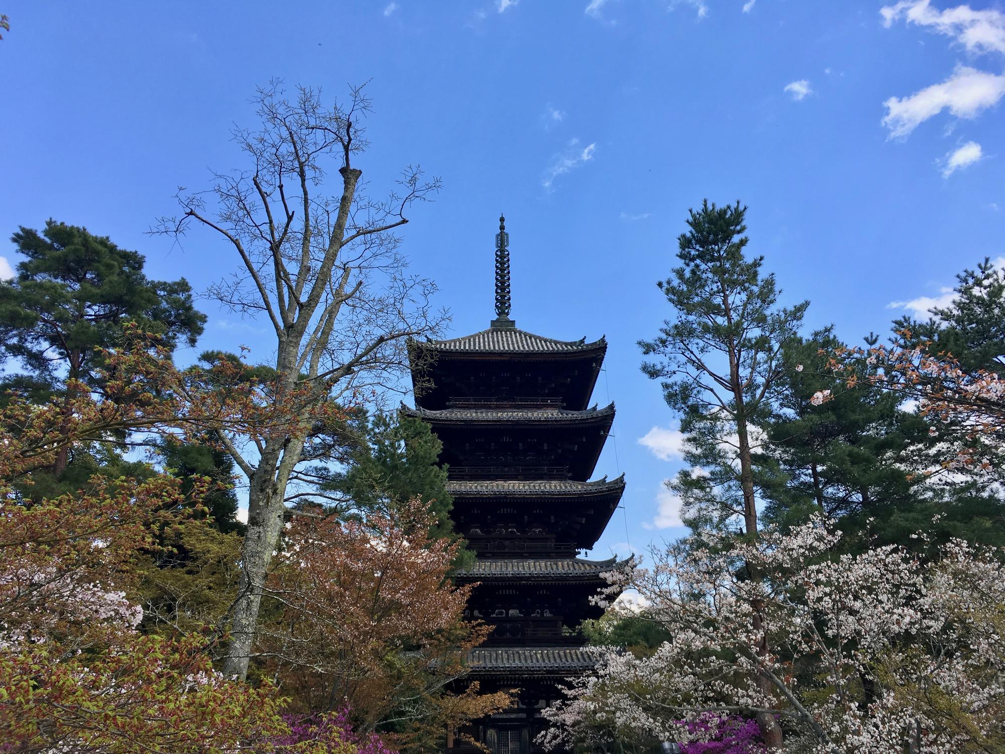 🇯🇵 Kyoto, Japan, April 2017.