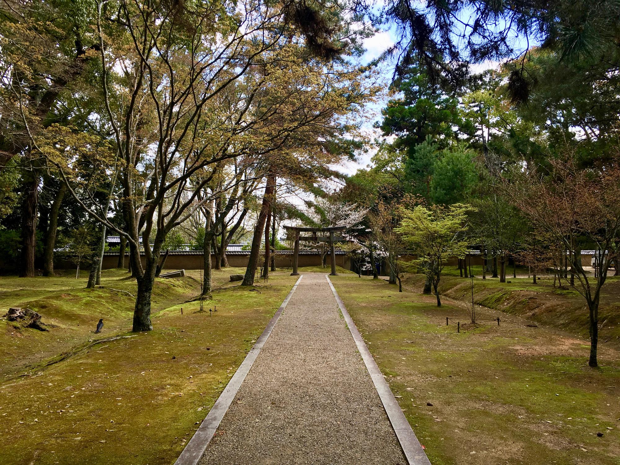 🇯🇵 Kyoto, Japan, April 2017.