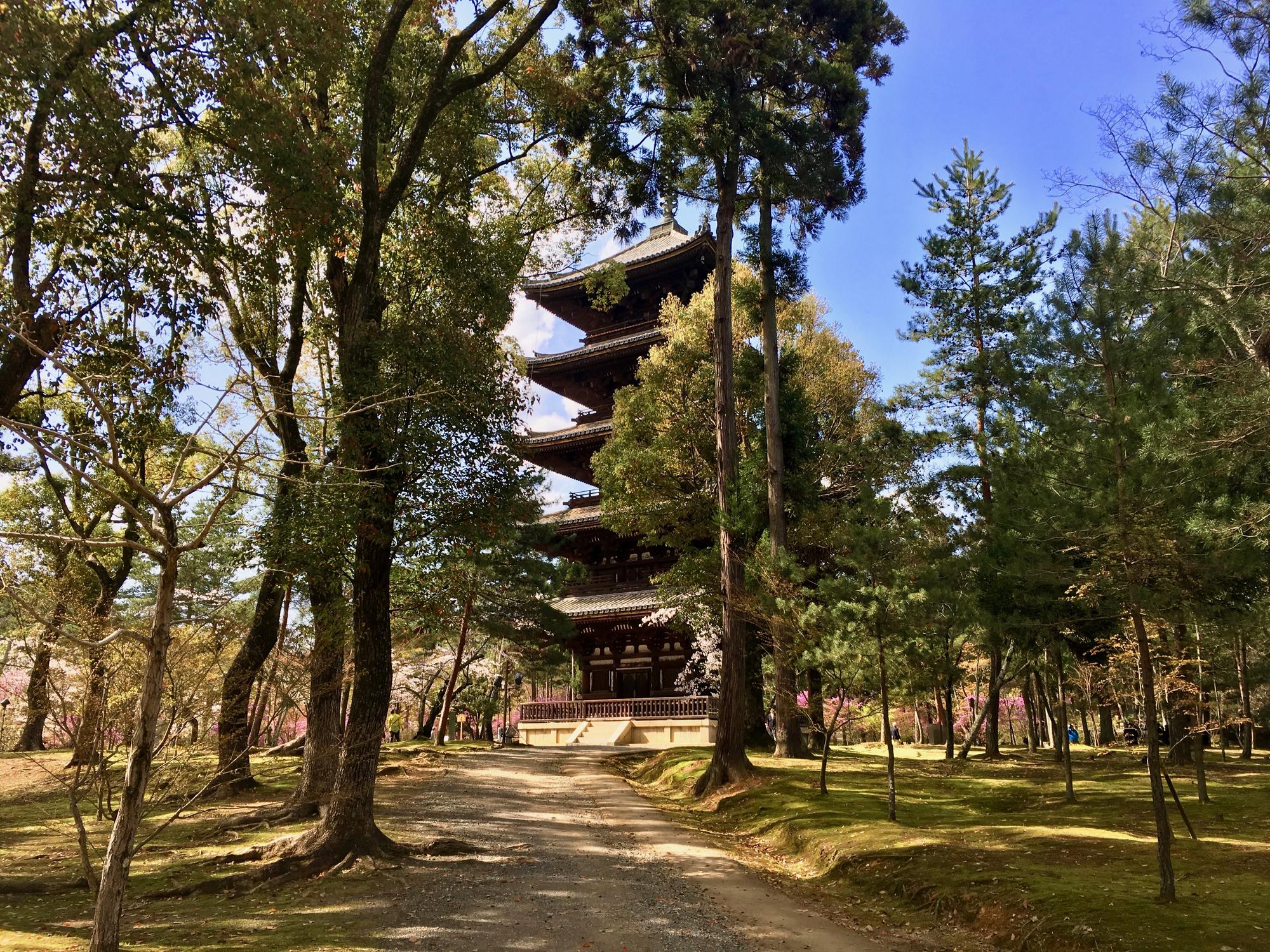 🇯🇵 Kyoto, Japan, April 2017.