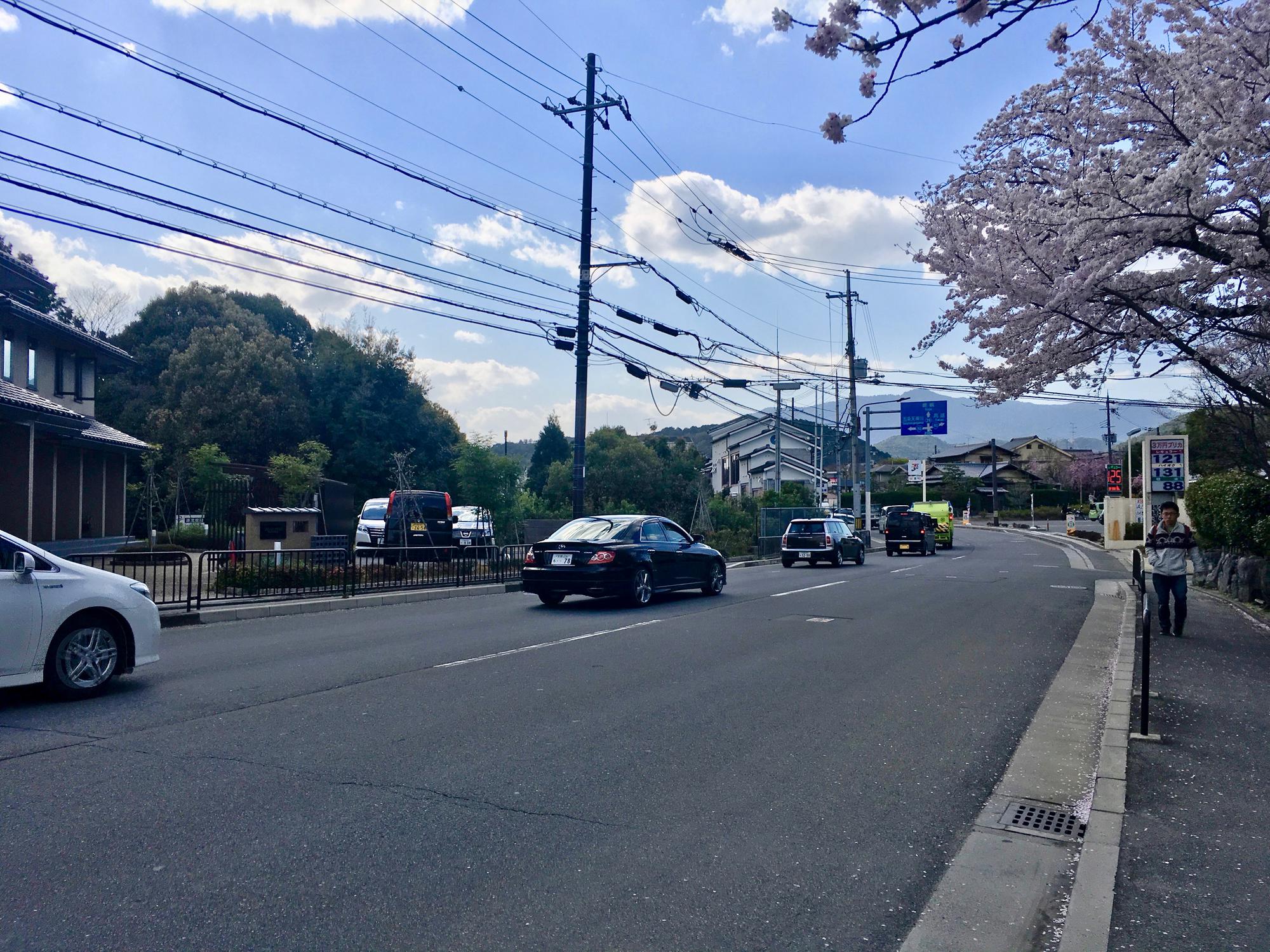 🇯🇵 Kyoto, Japan, April 2017.