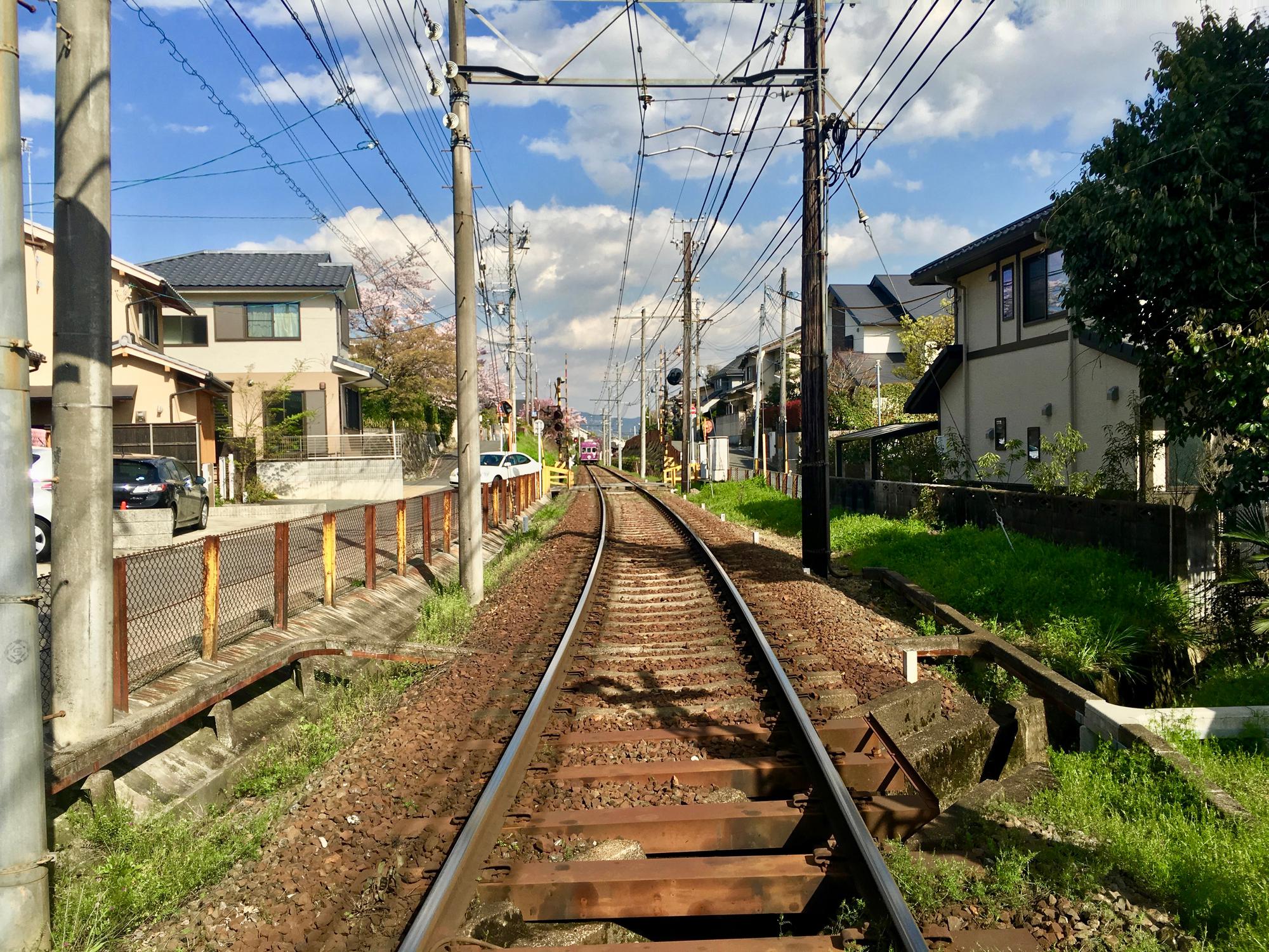 🇯🇵 Kyoto, Japan, April 2017.