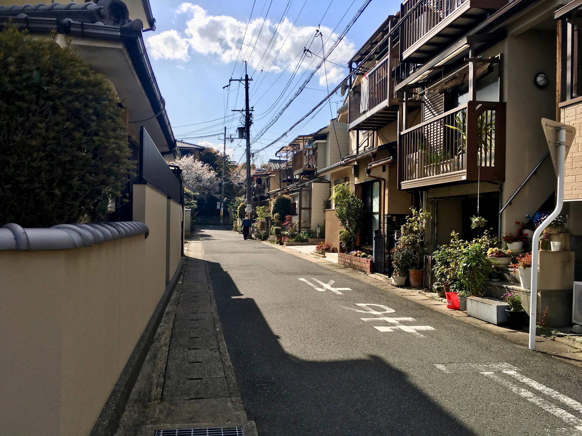 🇯🇵 Kyoto, Japan, April 2017.