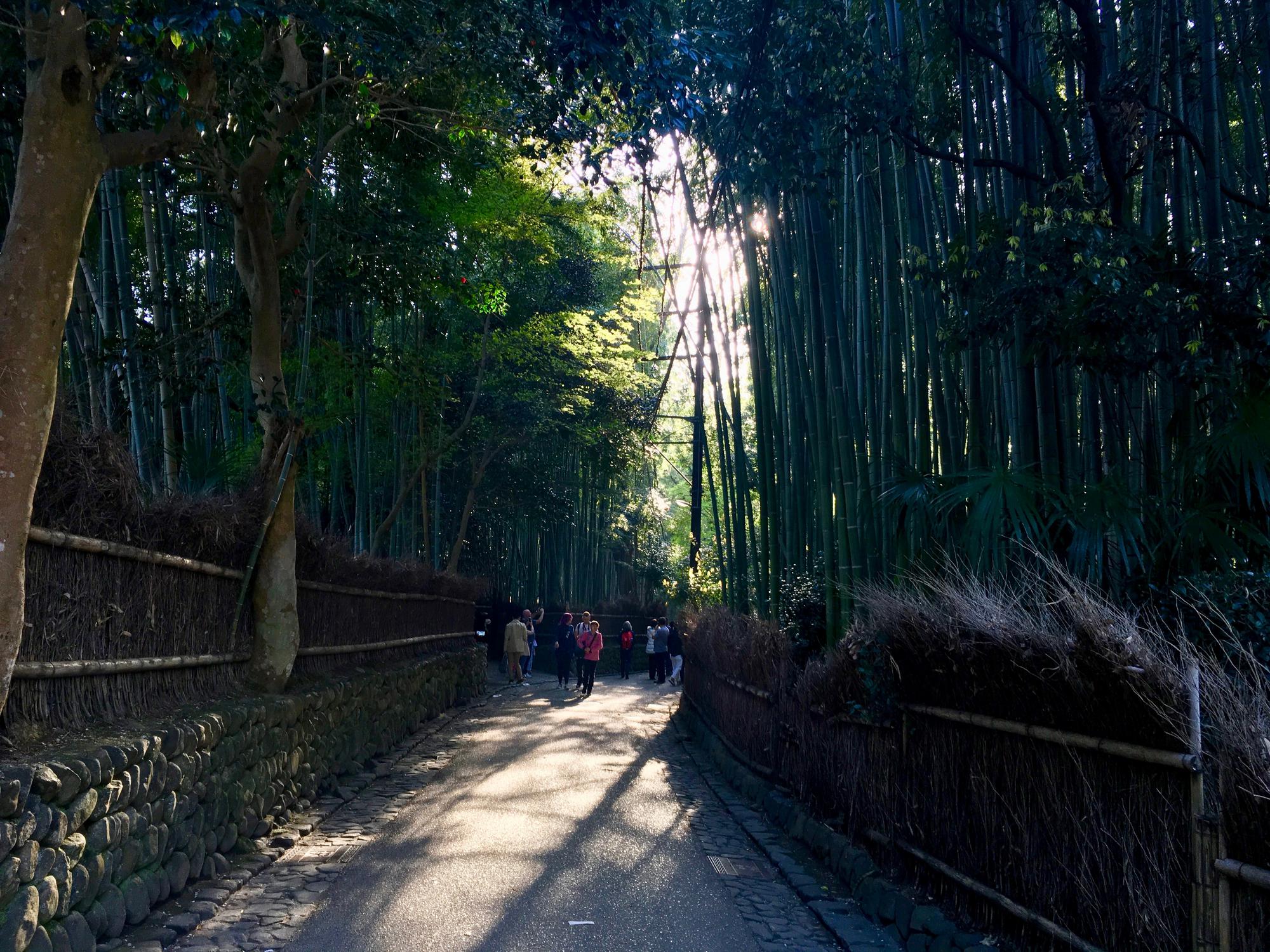 🇯🇵 Kyoto, Japan, April 2017.