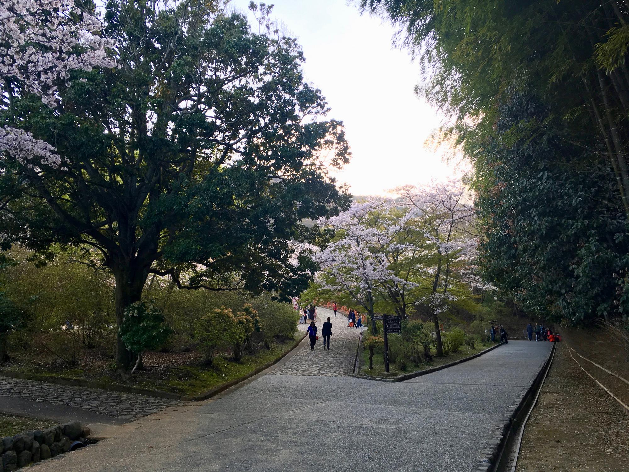 🇯🇵 Киото, Япония, апрель 2017.