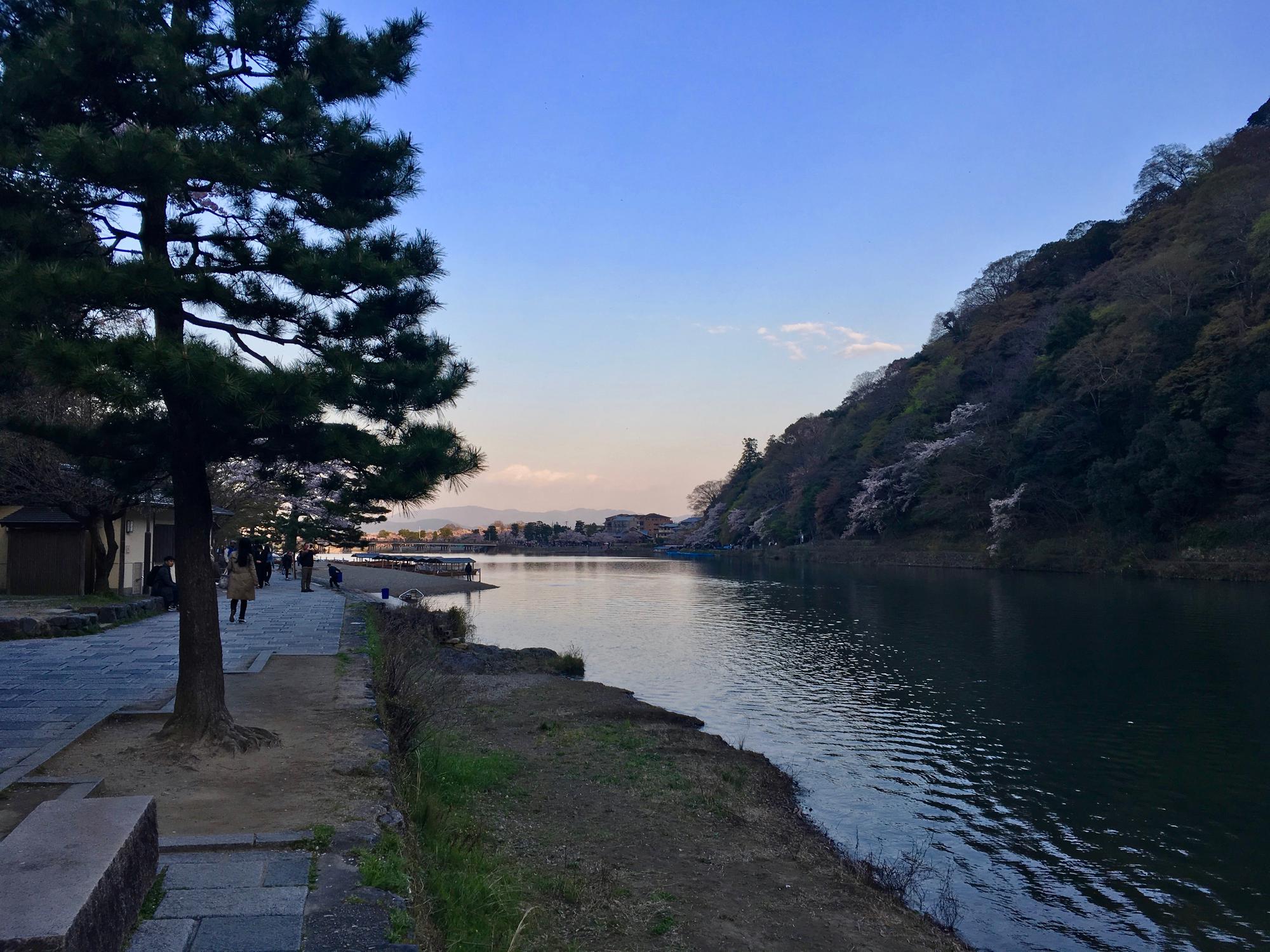 🇯🇵 Kyoto, Japan, April 2017.