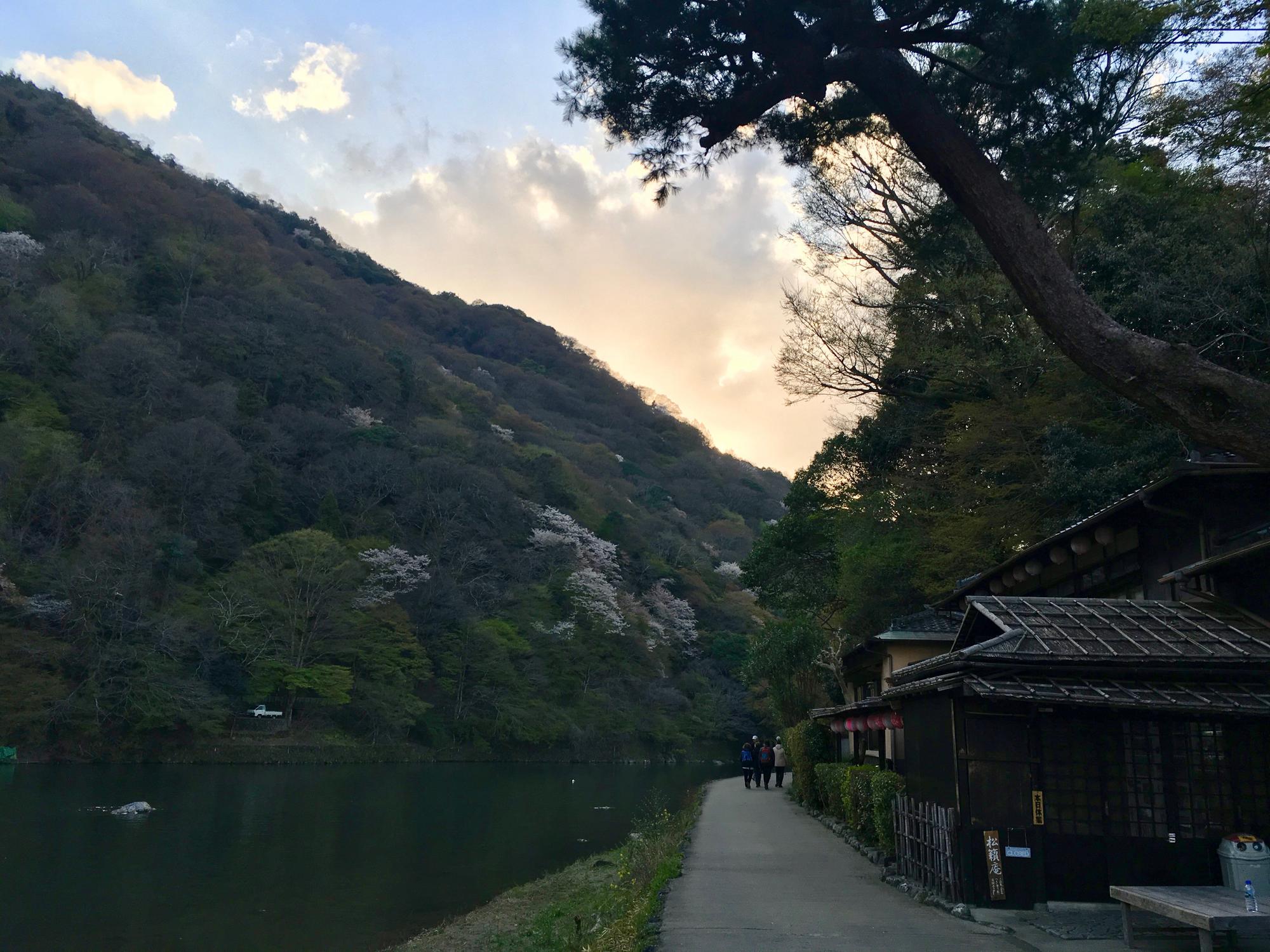 🇯🇵 Kyoto, Japan, April 2017.