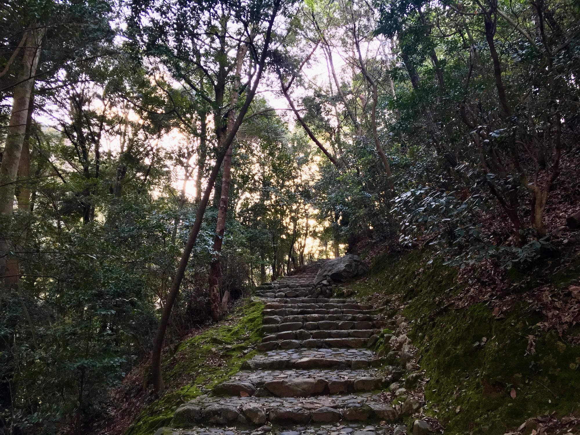 🇯🇵 Kyoto, Japan, April 2017.