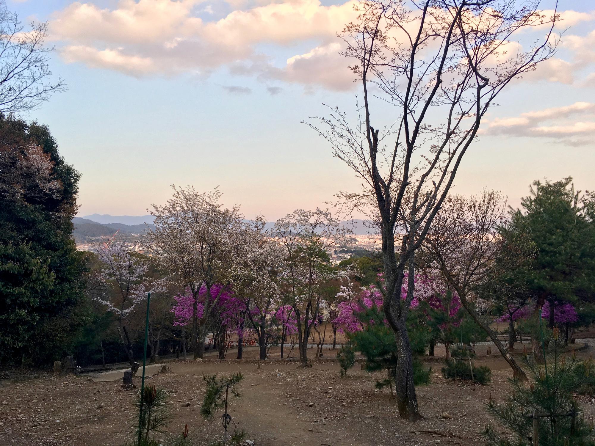 🇯🇵 Kyoto, Japan, April 2017.