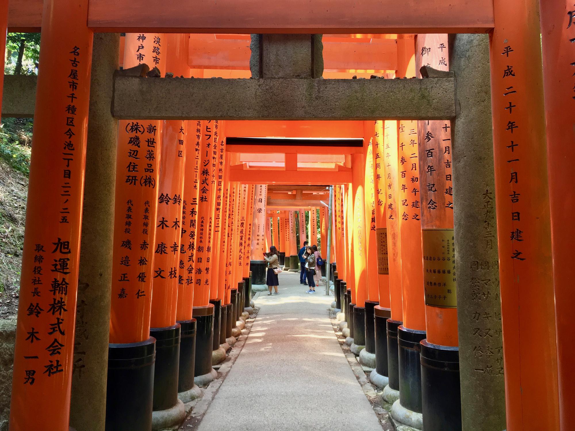 🇯🇵 Kyoto, Japan, April 2017.