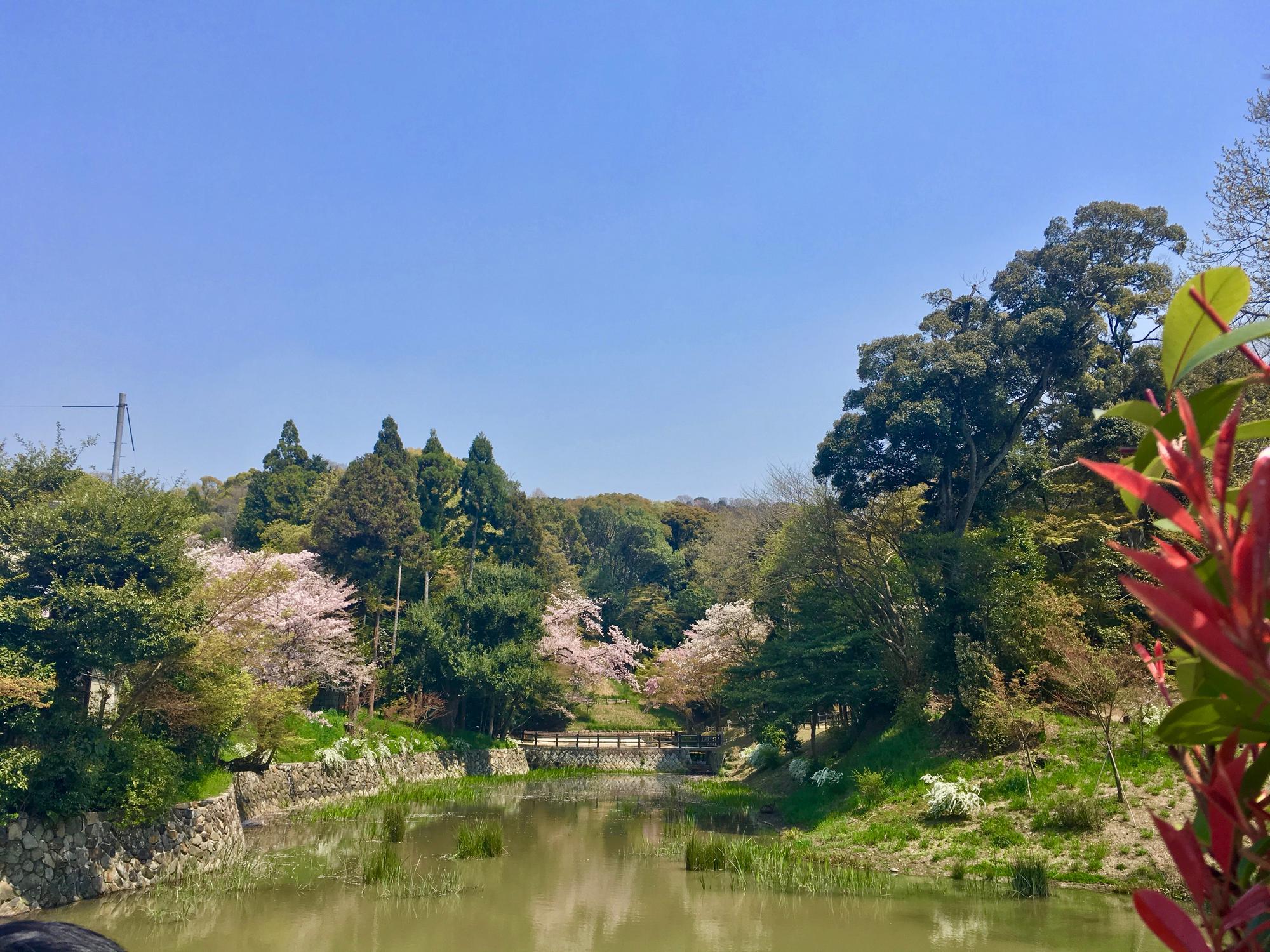 🇯🇵 Kyoto, Japan, April 2017.