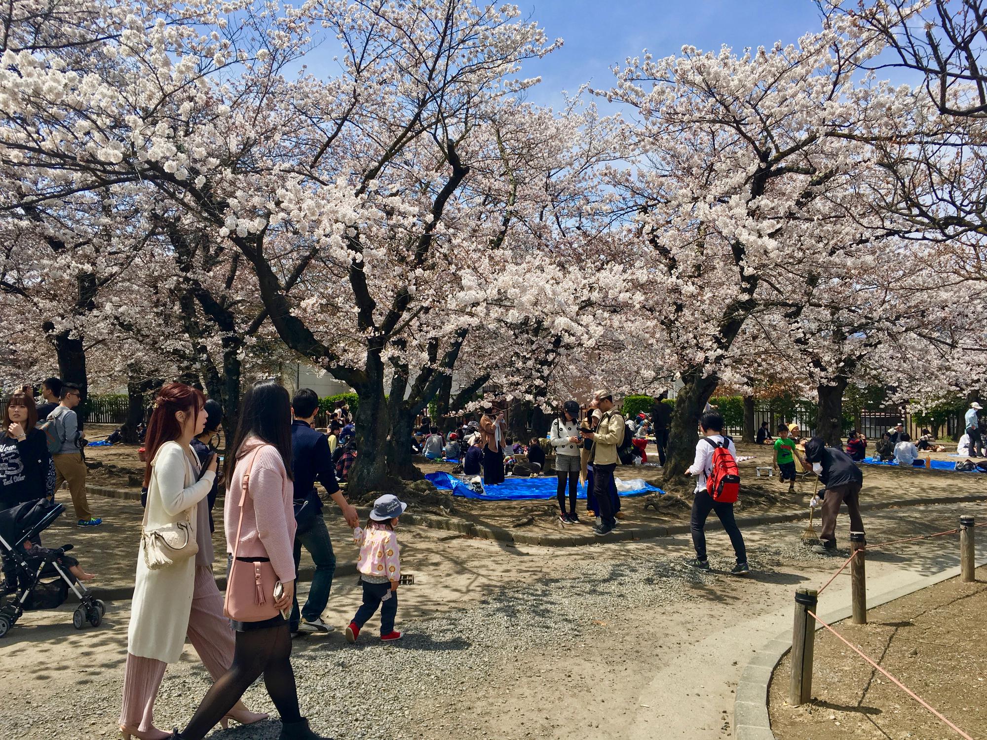 🇯🇵 Matsumoto, Japan, April 2017.