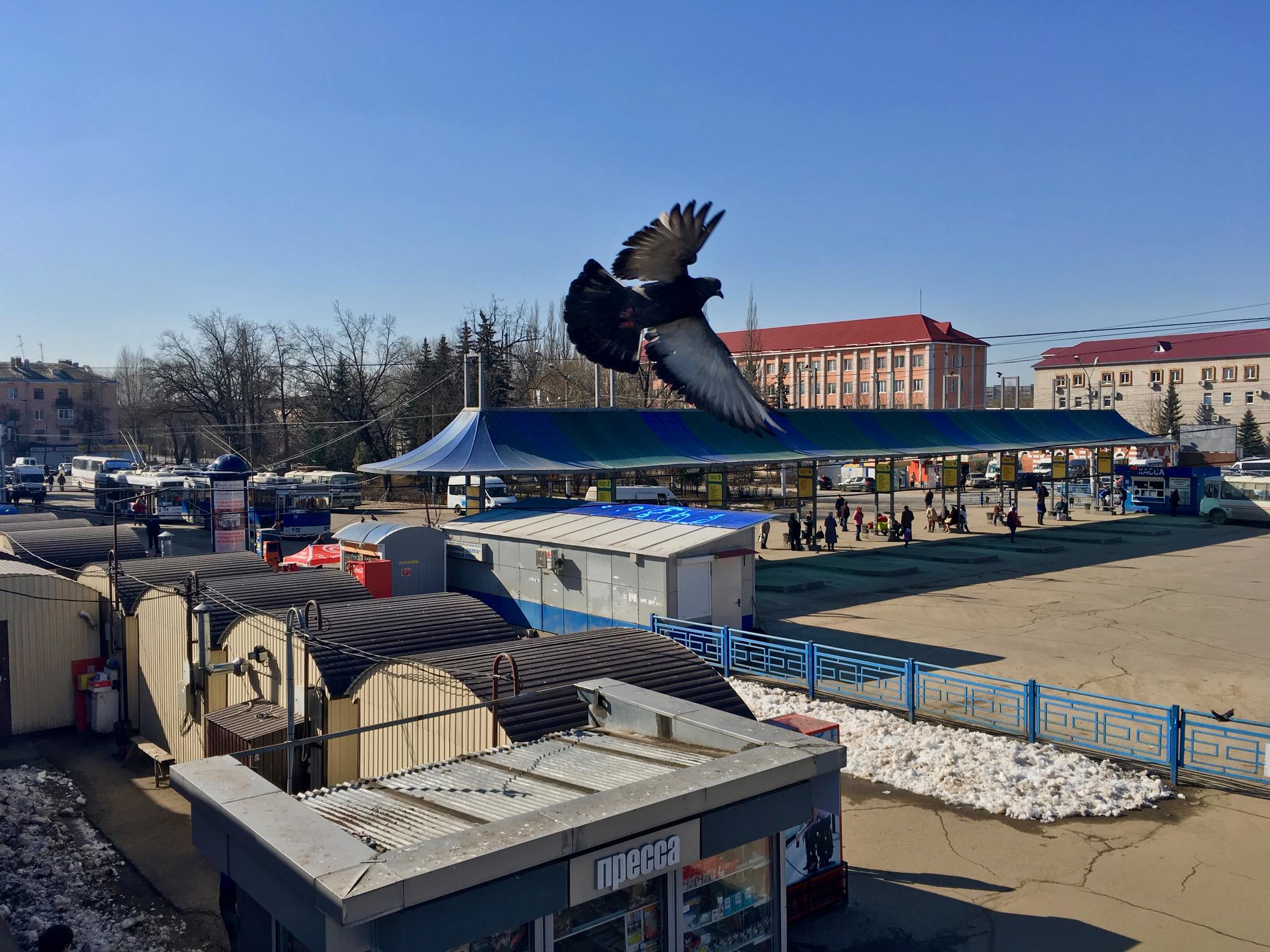 🇷🇺 Москва, Россия, март 2017.