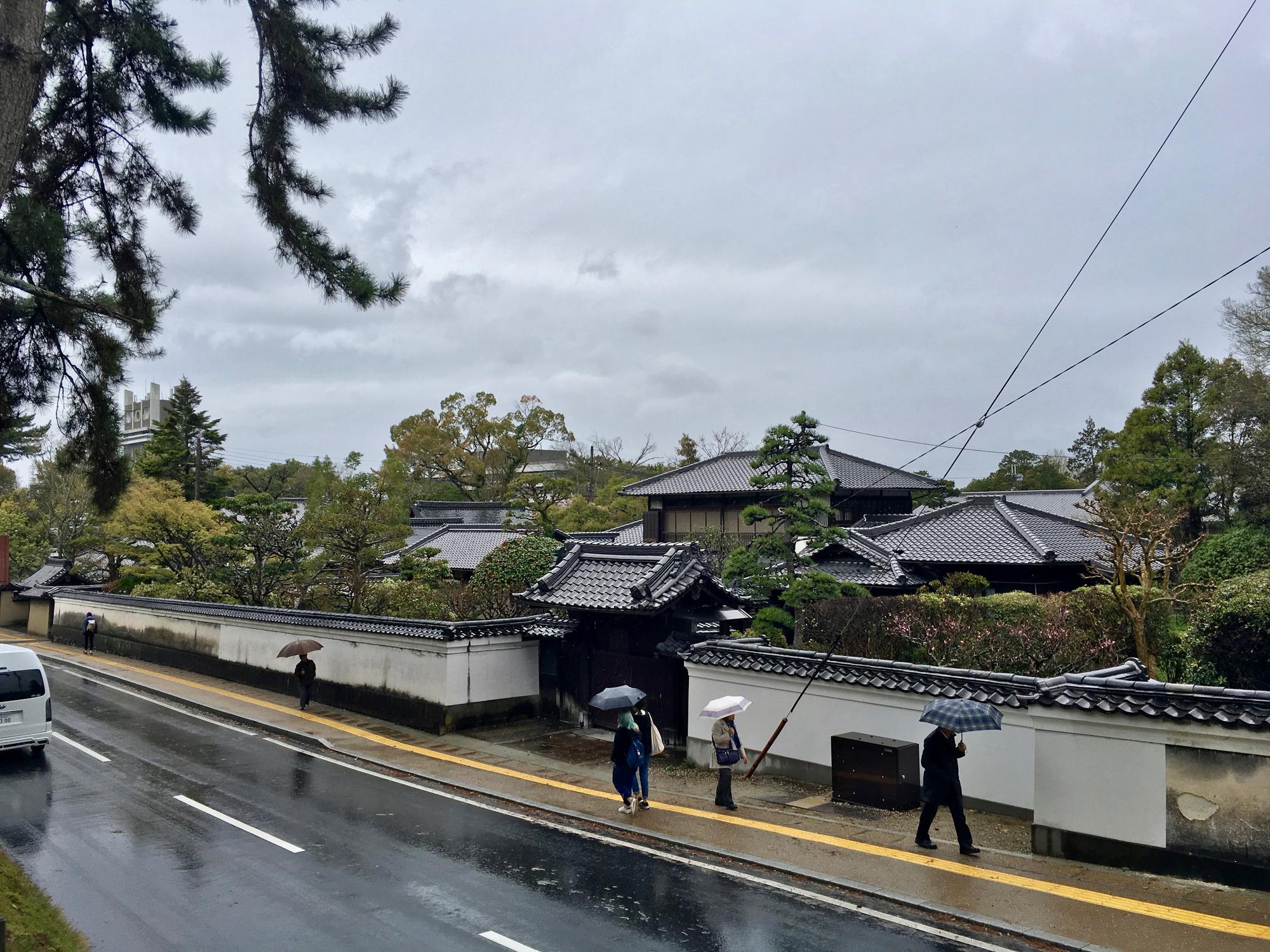 🇯🇵 Нара, Япония, апрель 2017.