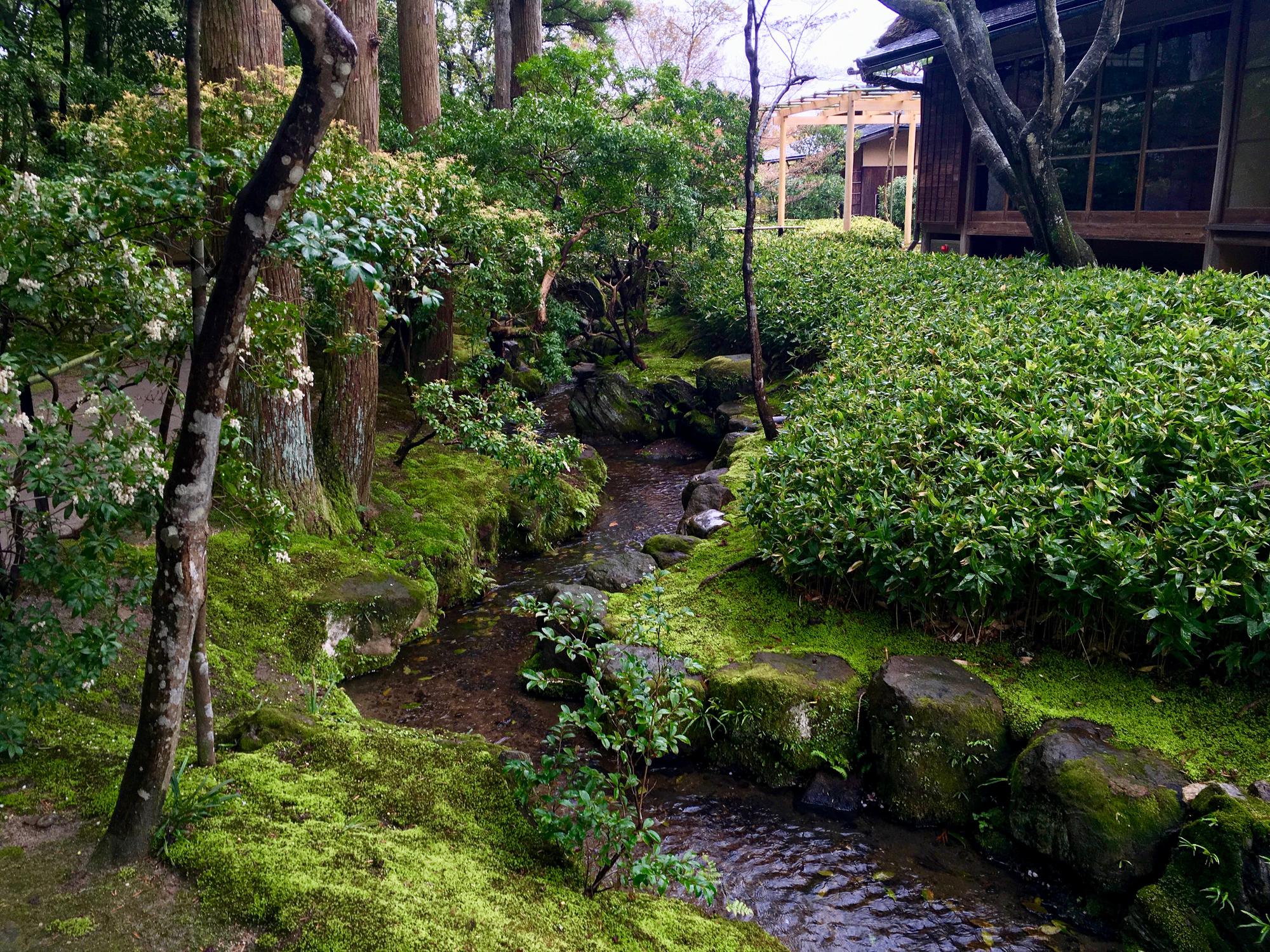 🇯🇵 Nara, Japan, April 2017.