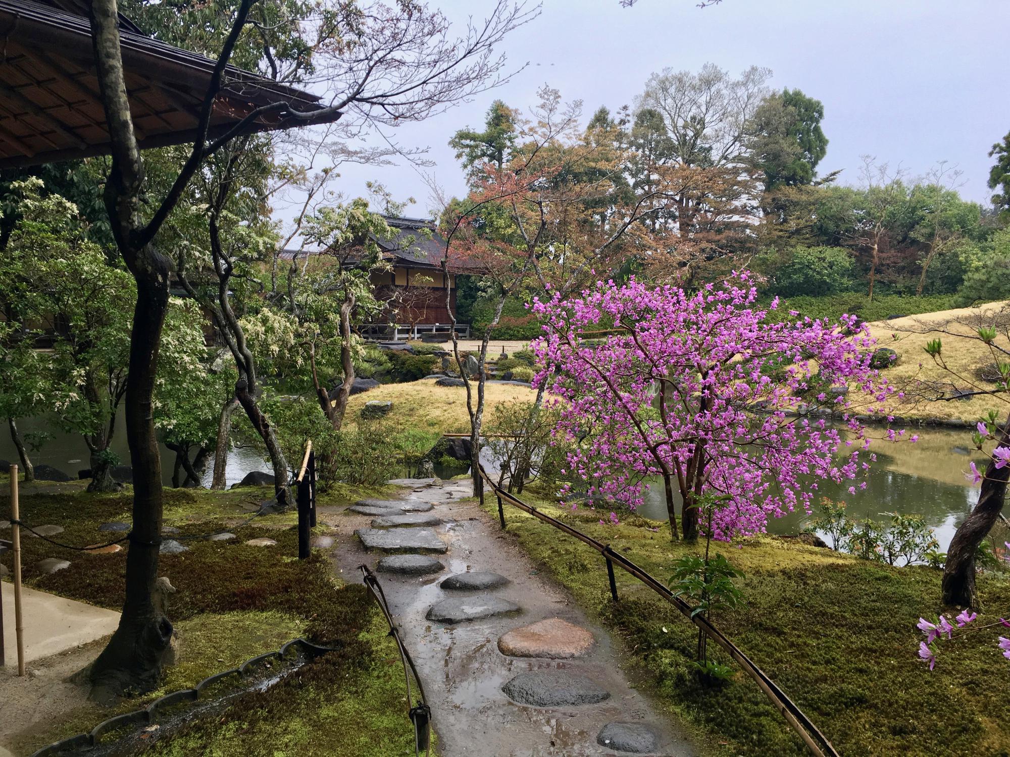 🇯🇵 Nara, Japan, April 2017.