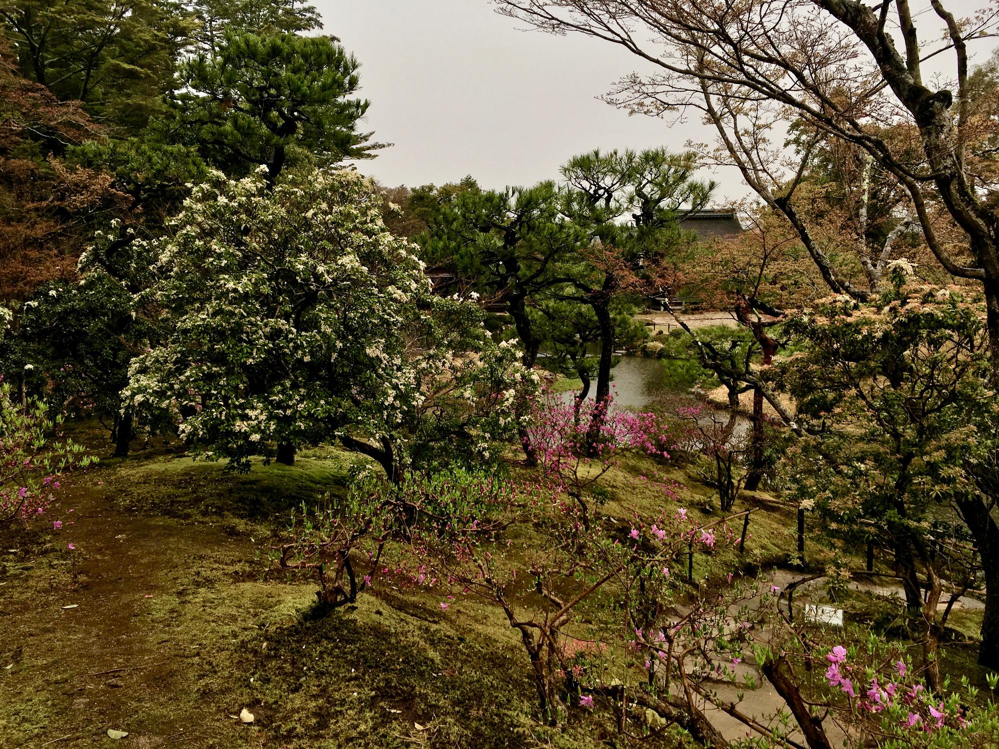 🇯🇵 Nara, Japan, April 2017.