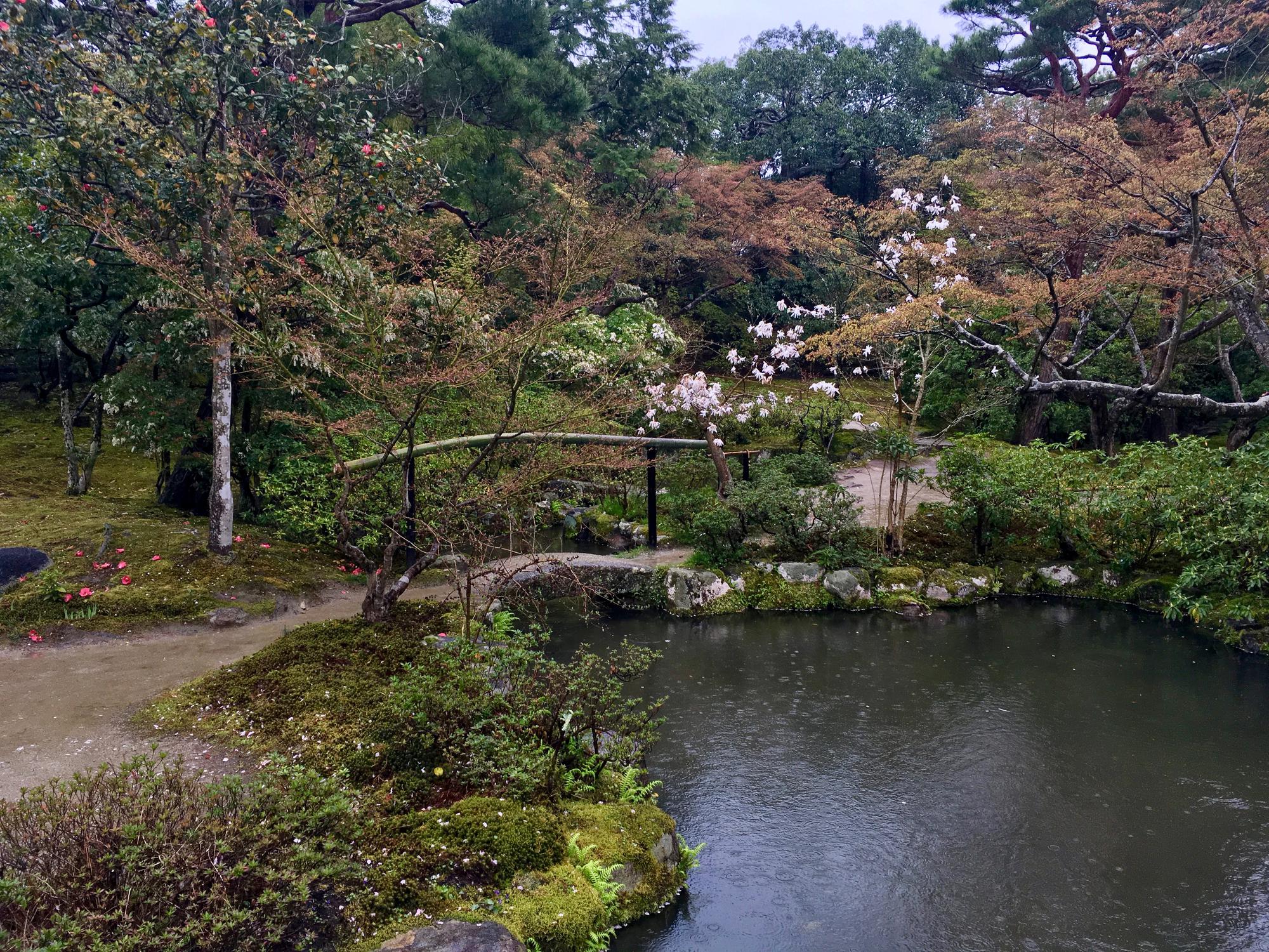 🇯🇵 Nara, Japan, April 2017.