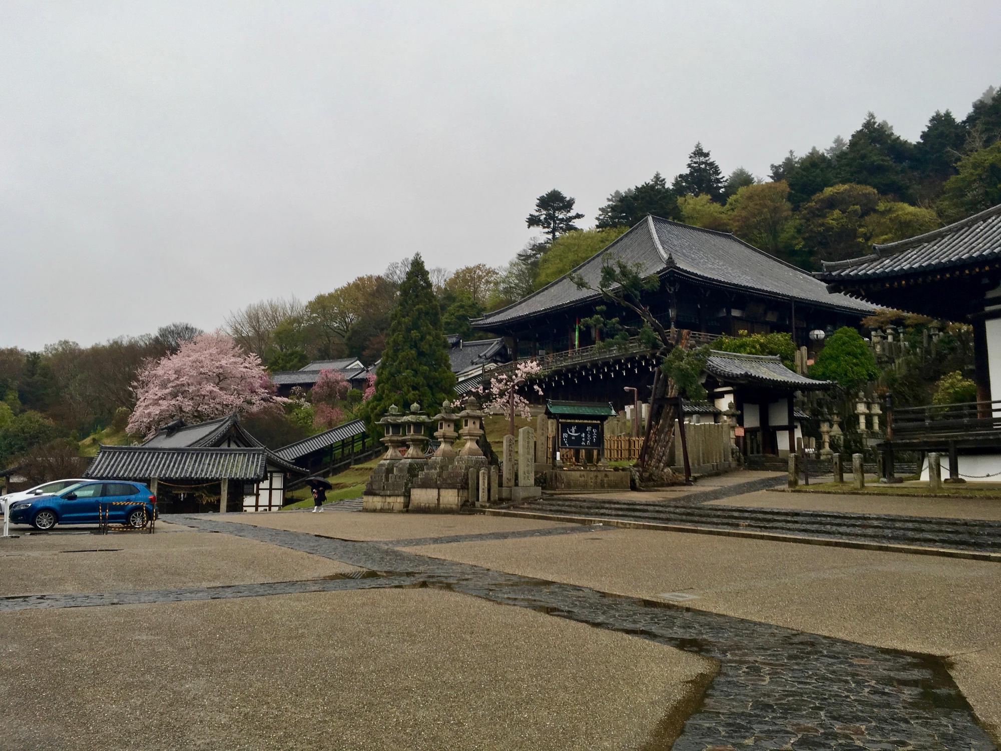 🇯🇵 Nara, Japan, April 2017.