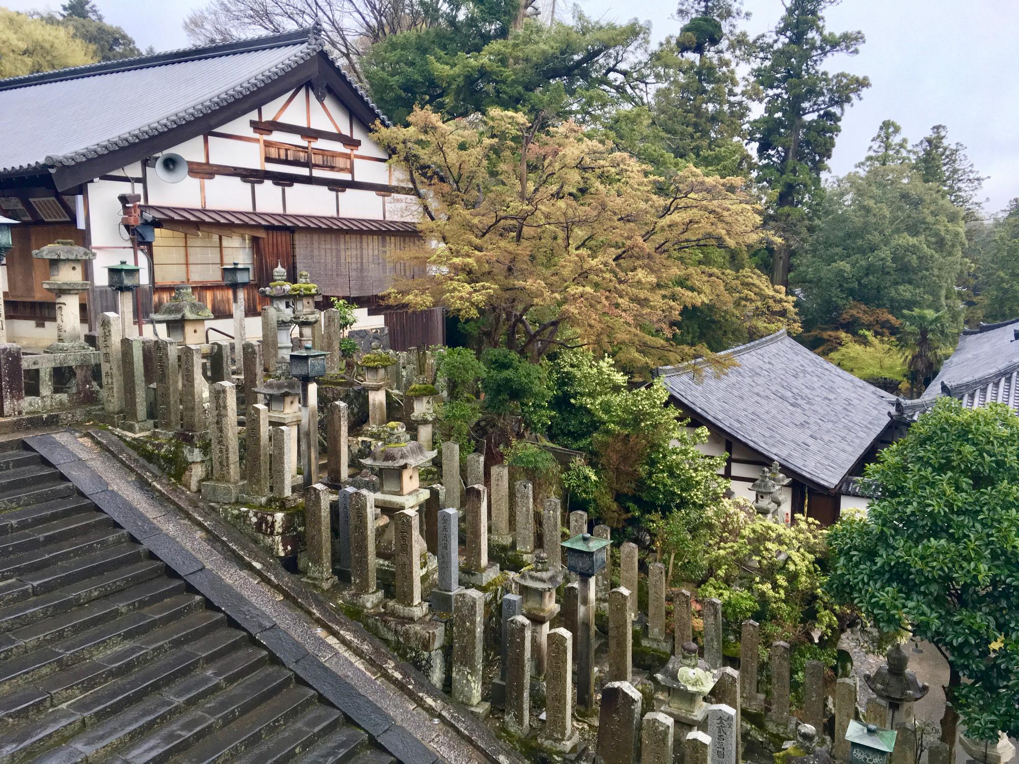 🇯🇵 Nara, Japan, April 2017.