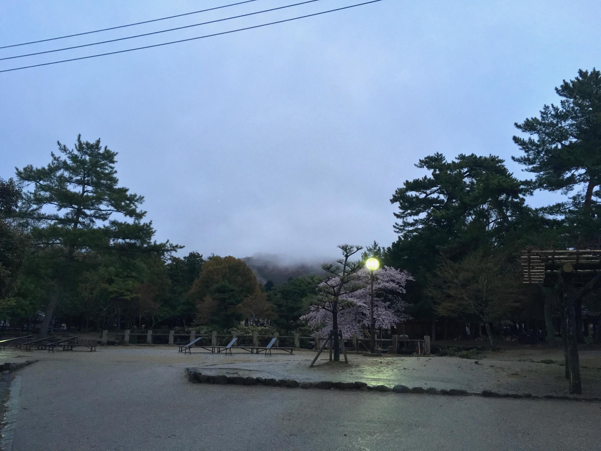 🇯🇵 Nara, Japan, April 2017.