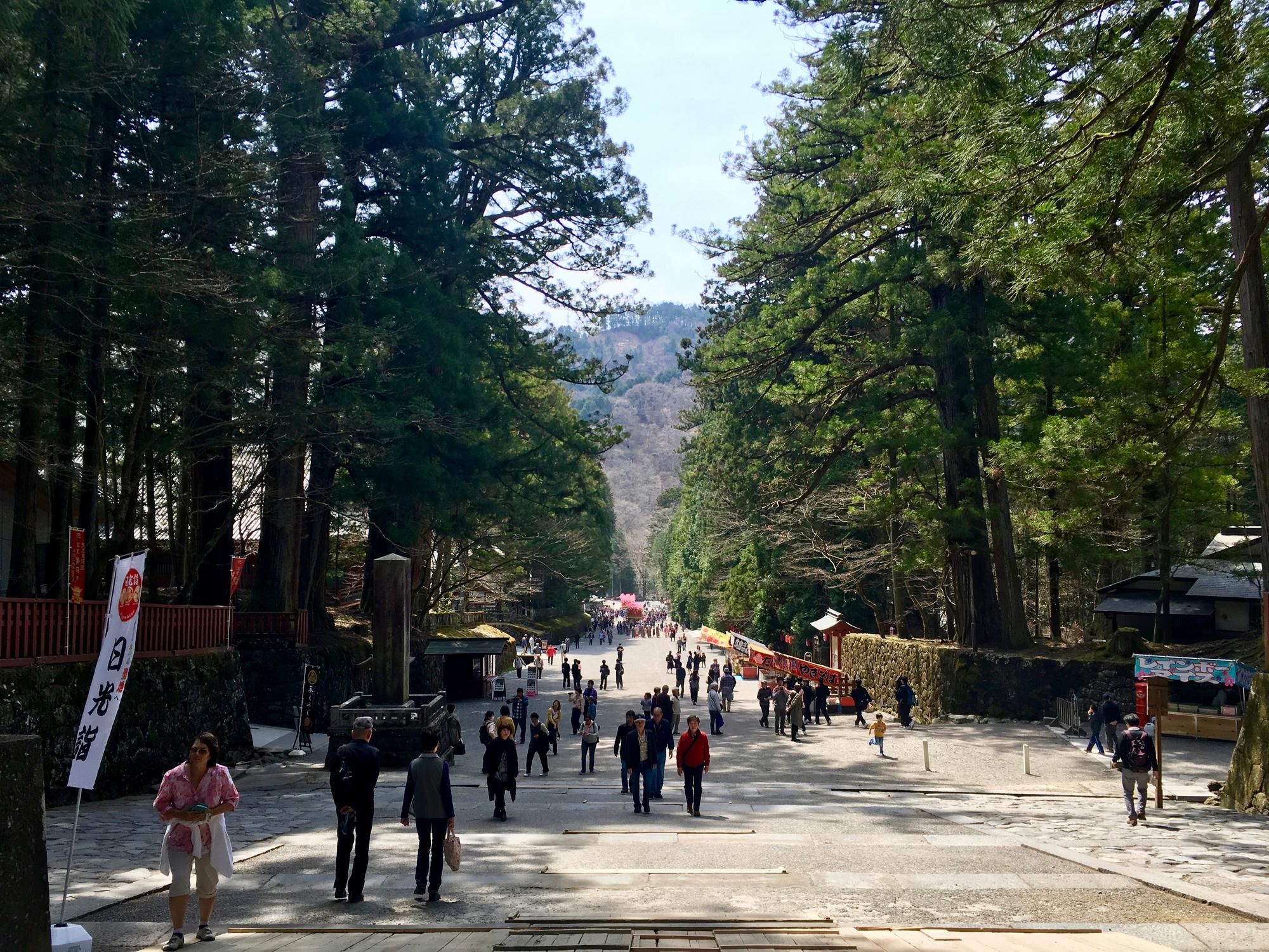 🇯🇵 Nikko, Japan, April 2017.