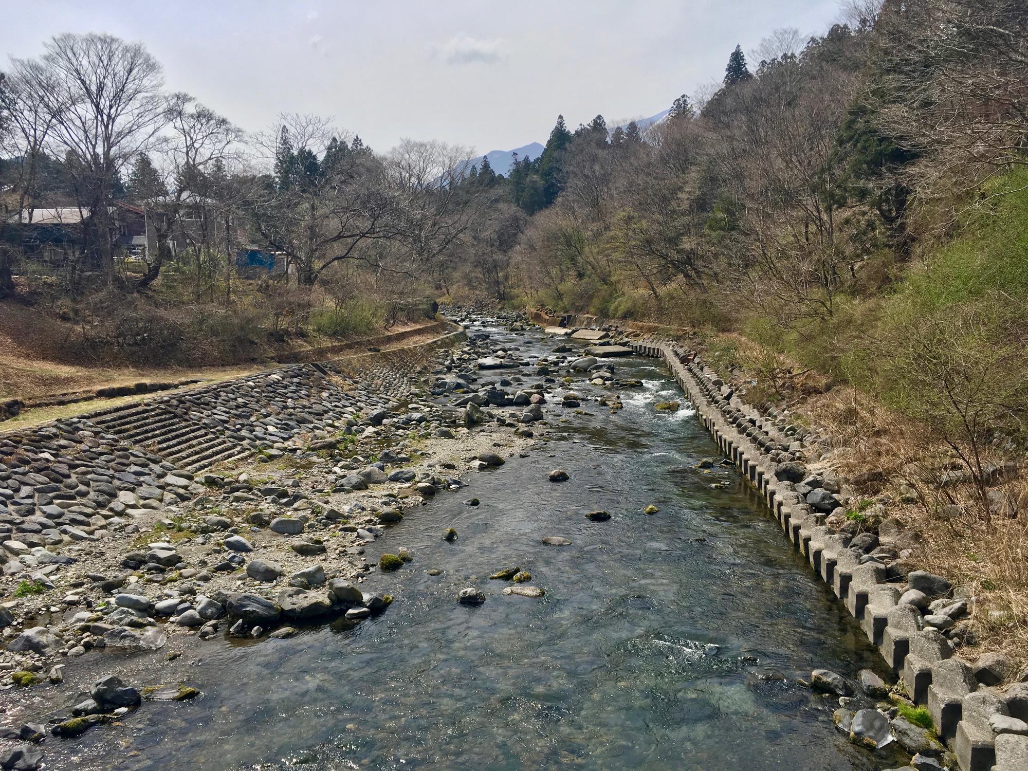 🇯🇵 Nikko, Japan, April 2017.