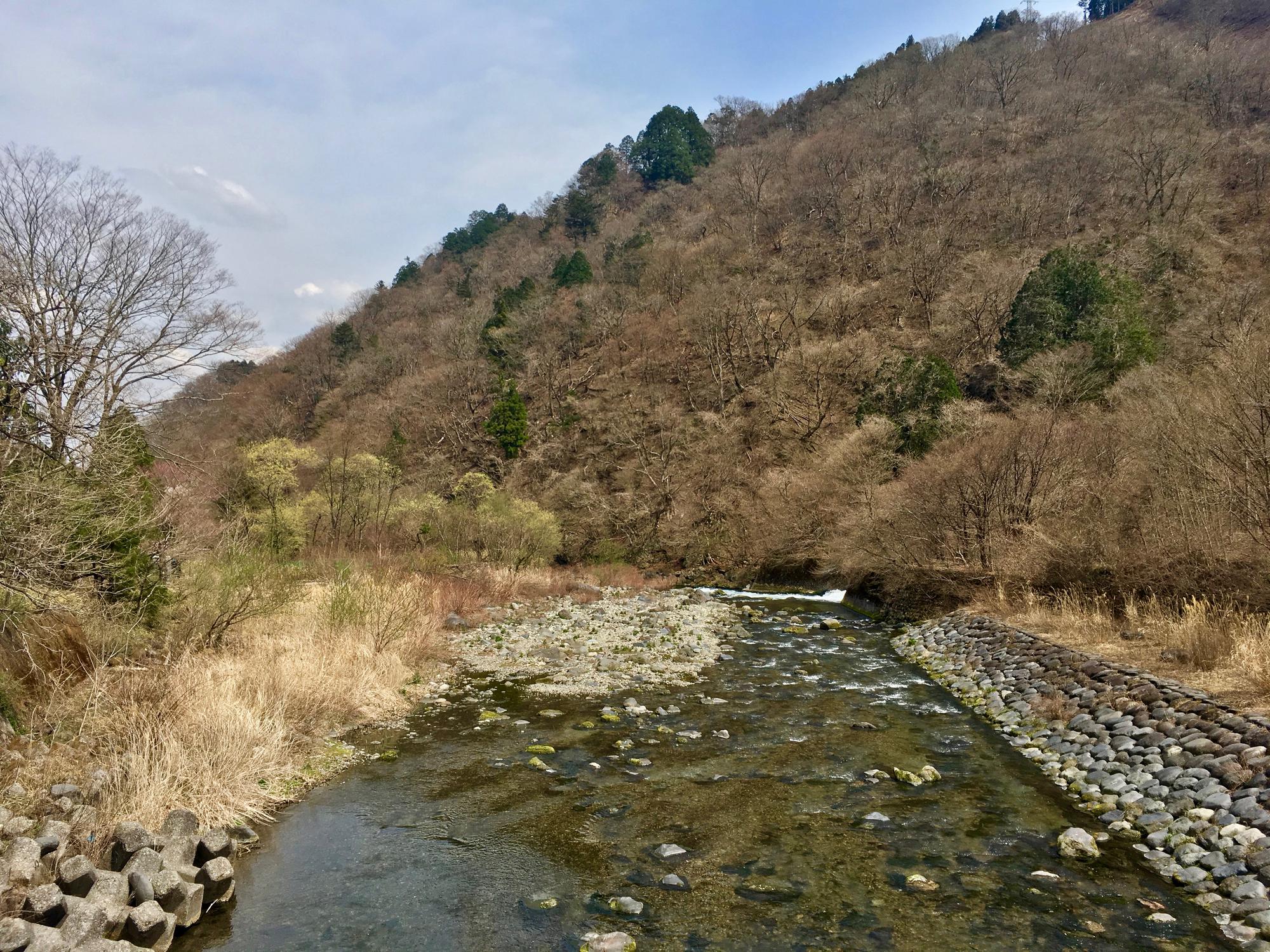 🇯🇵 Никко, Япония, апрель 2017.