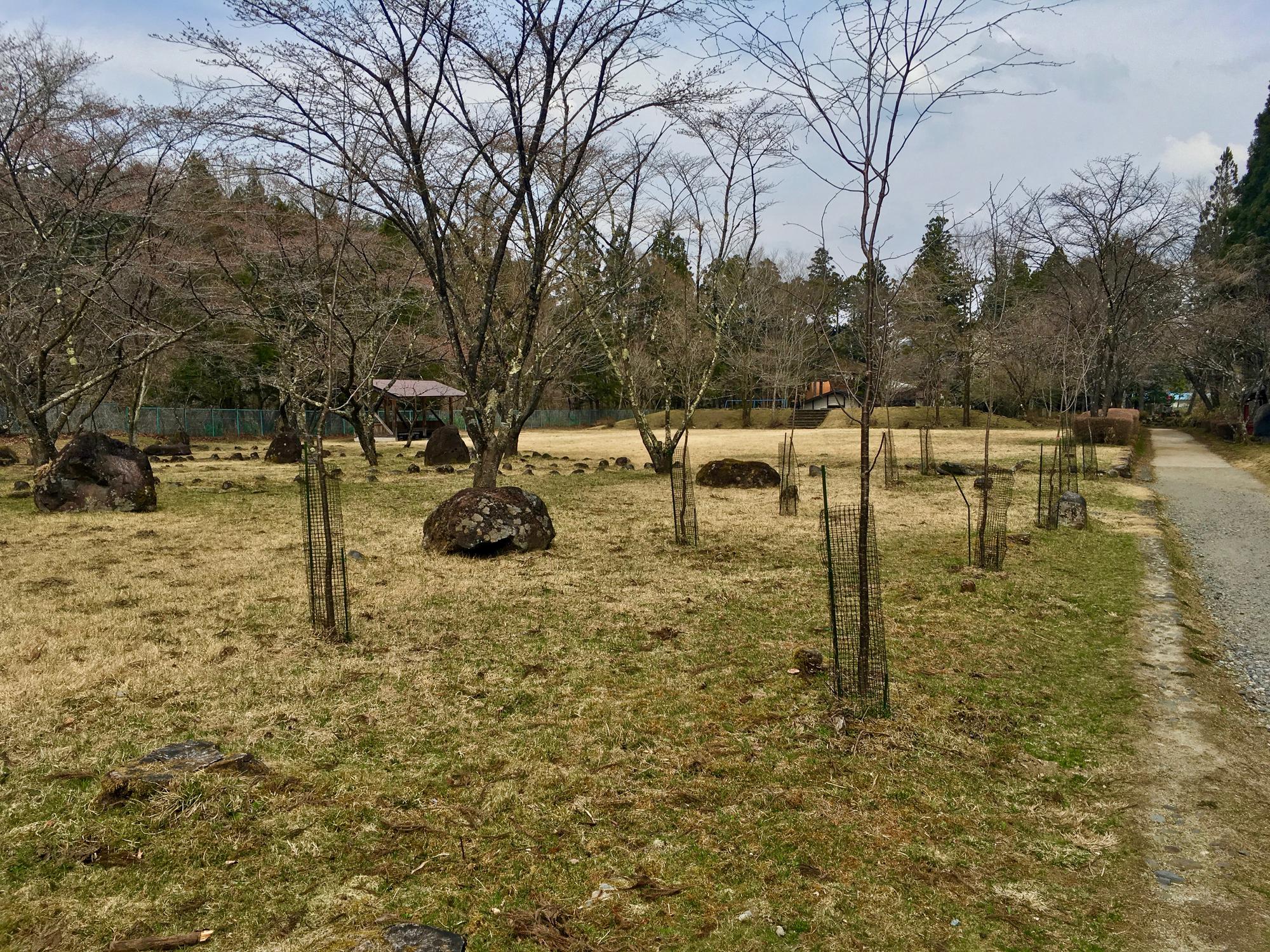 🇯🇵 Nikko, Japan, April 2017.