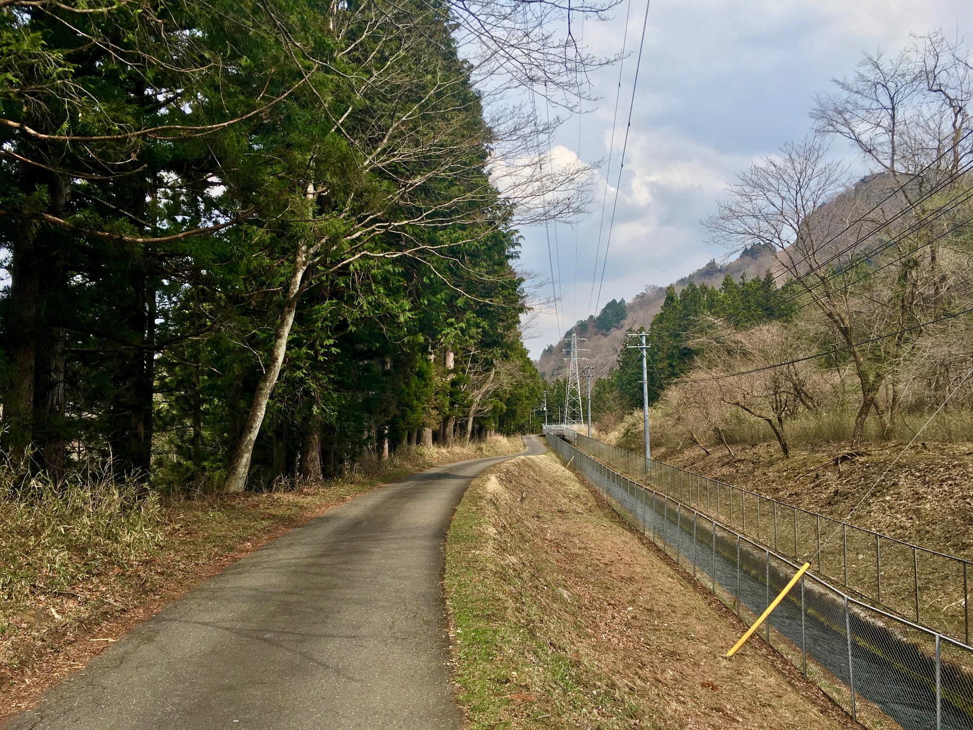 🇯🇵 Nikko, Japan, April 2017.