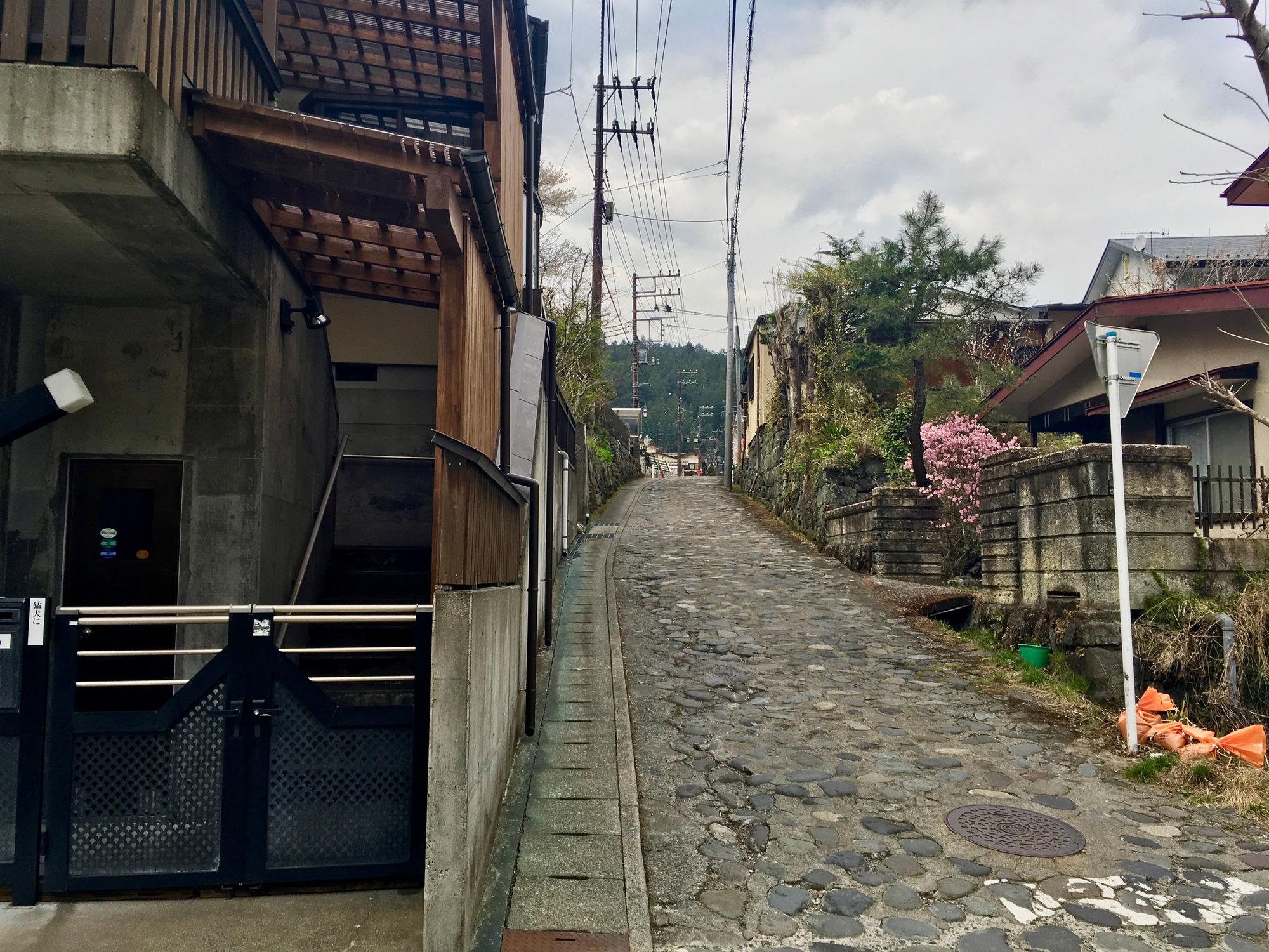 🇯🇵 Nikko, Japan, April 2017.