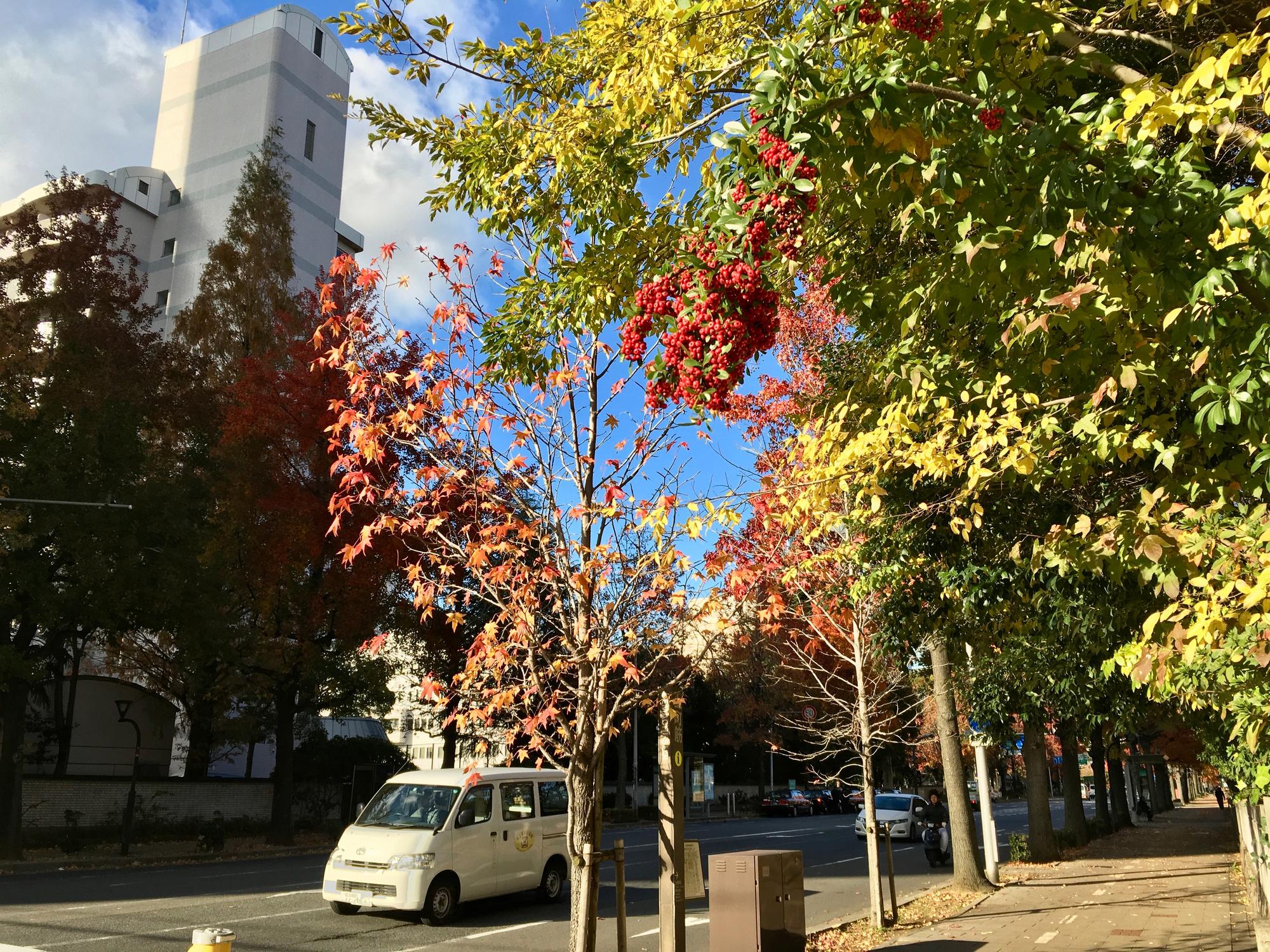 🇯🇵 Osaka, Japan, December 2017.