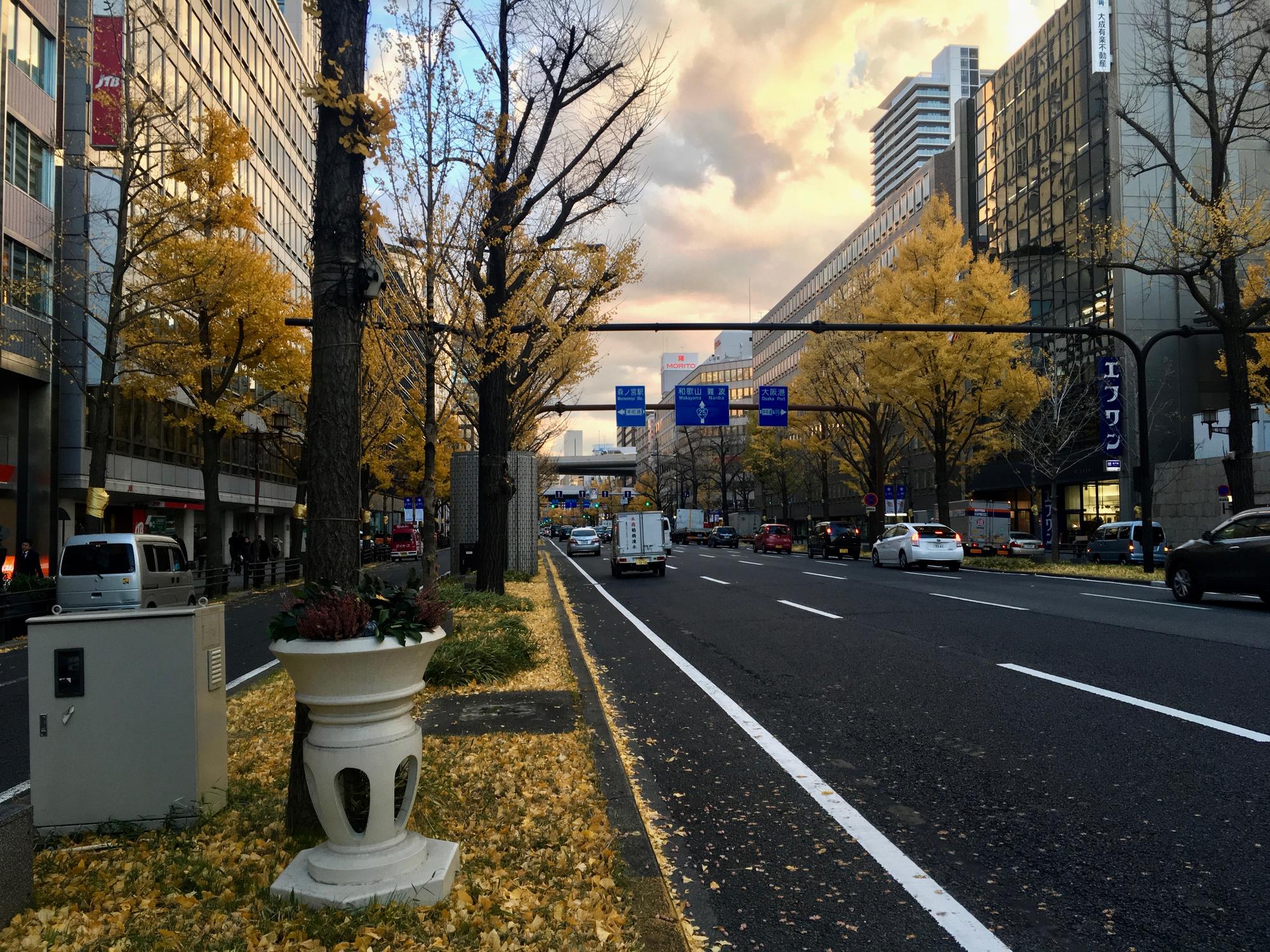 🇯🇵 Осака, Япония, декабрь 2017.