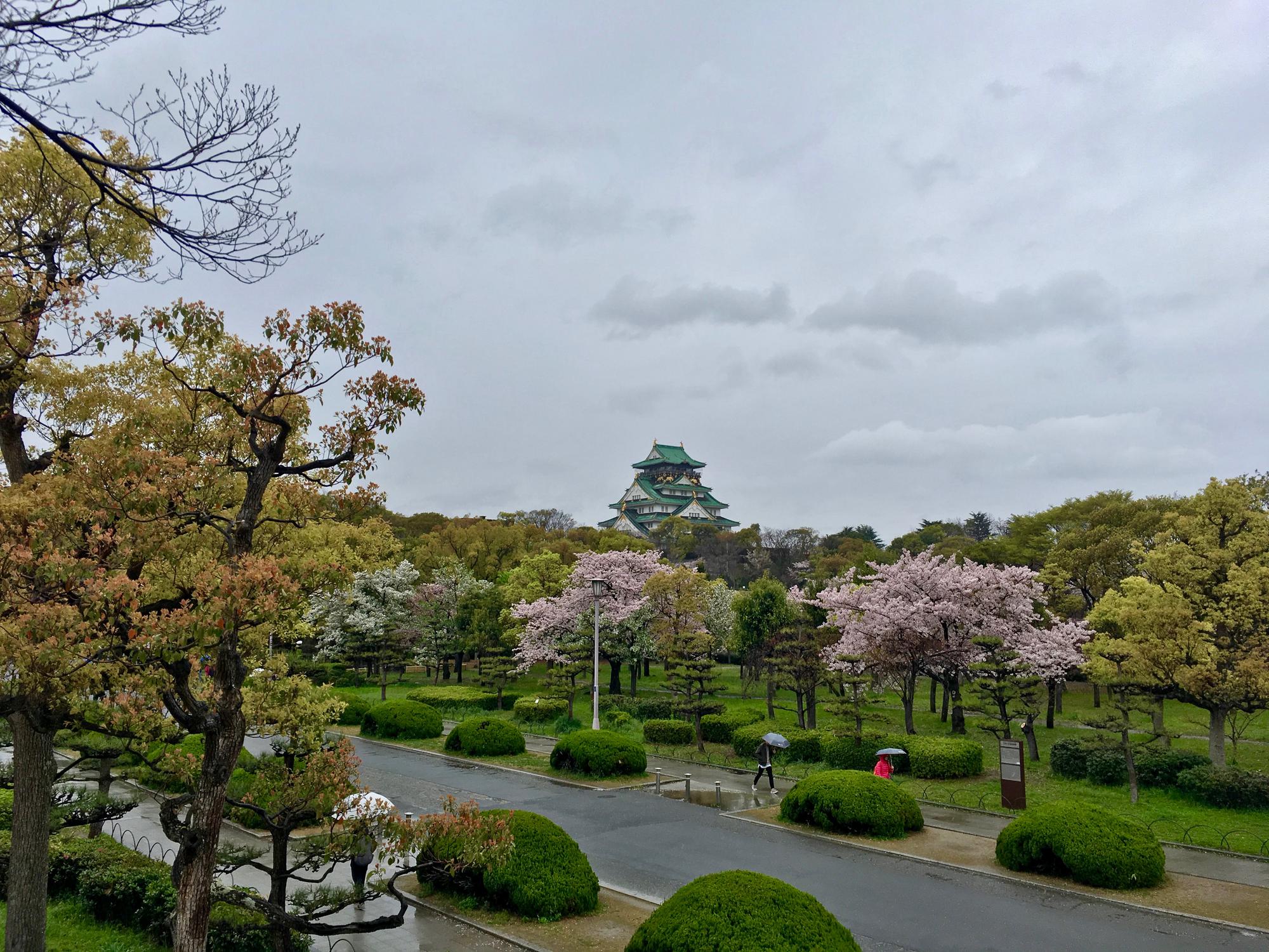 🇯🇵 Osaka, Japan, April 2017.