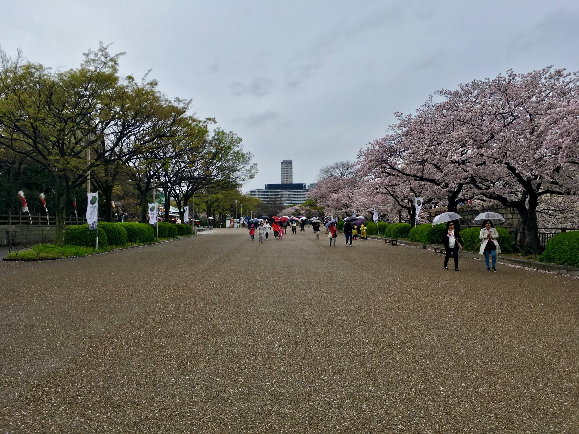 🇯🇵 Осака, Япония, апрель 2017.