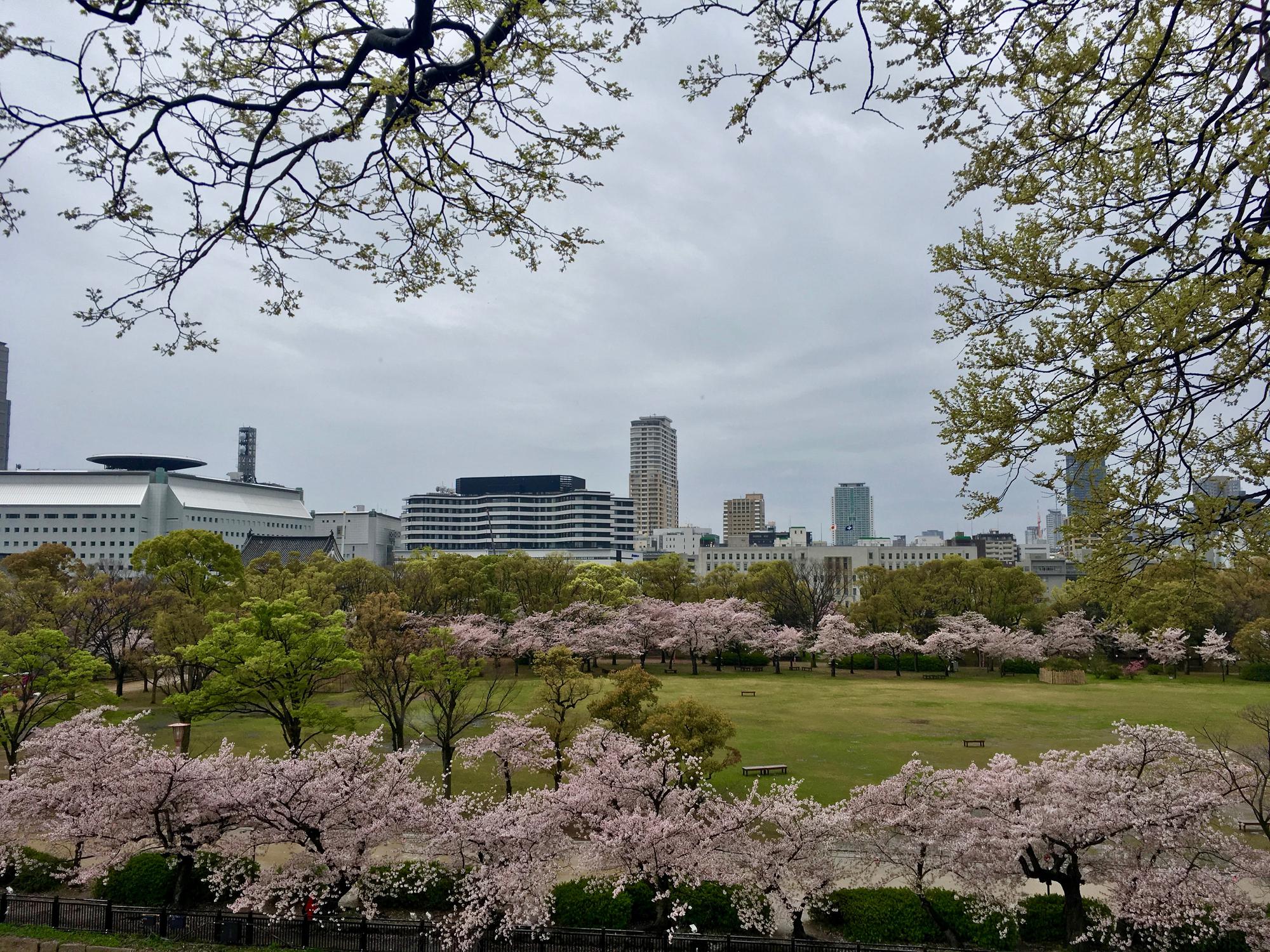 🇯🇵 Осака, Япония, апрель 2017.