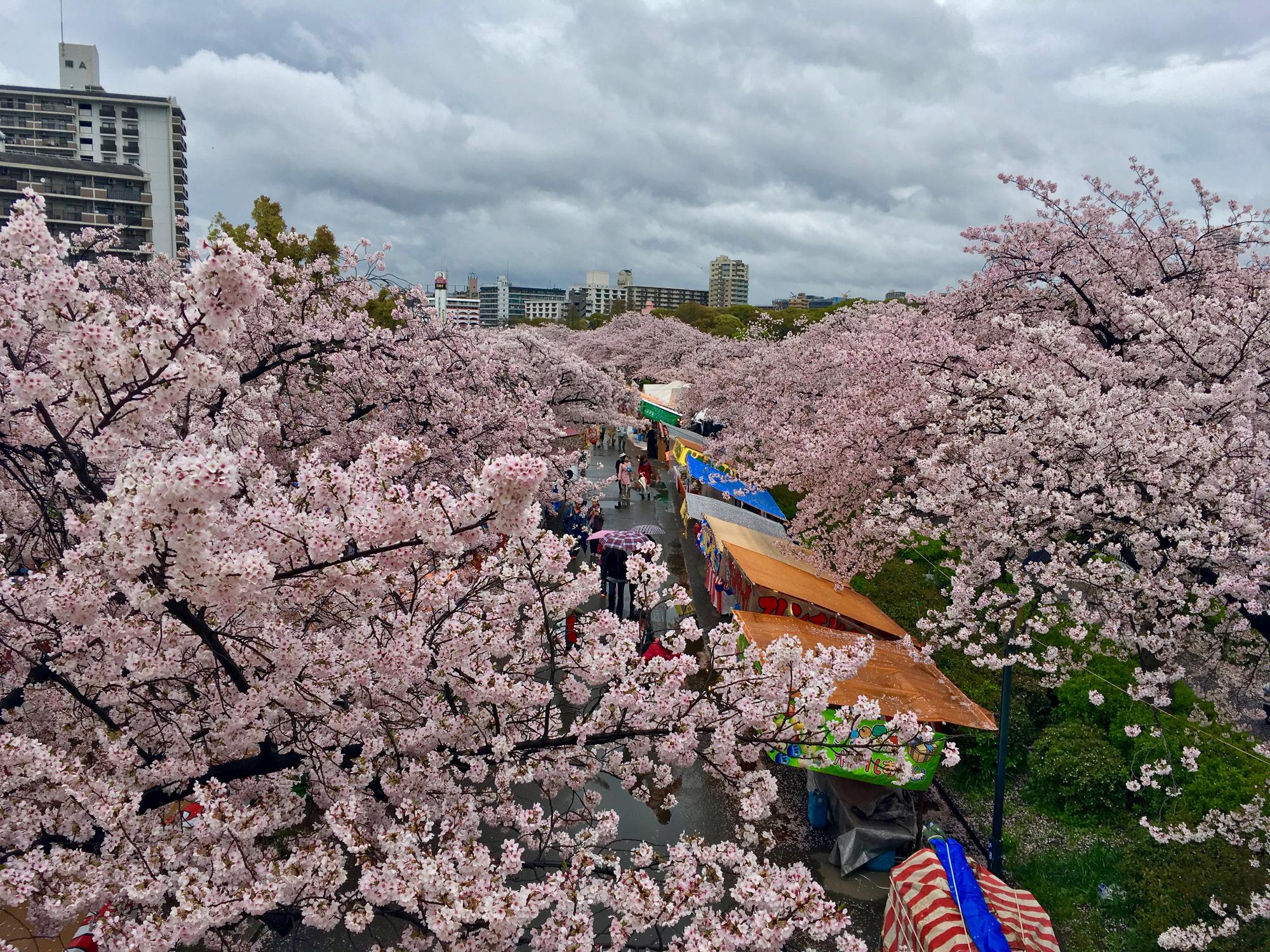 🇯🇵 Осака, Япония, апрель 2017.