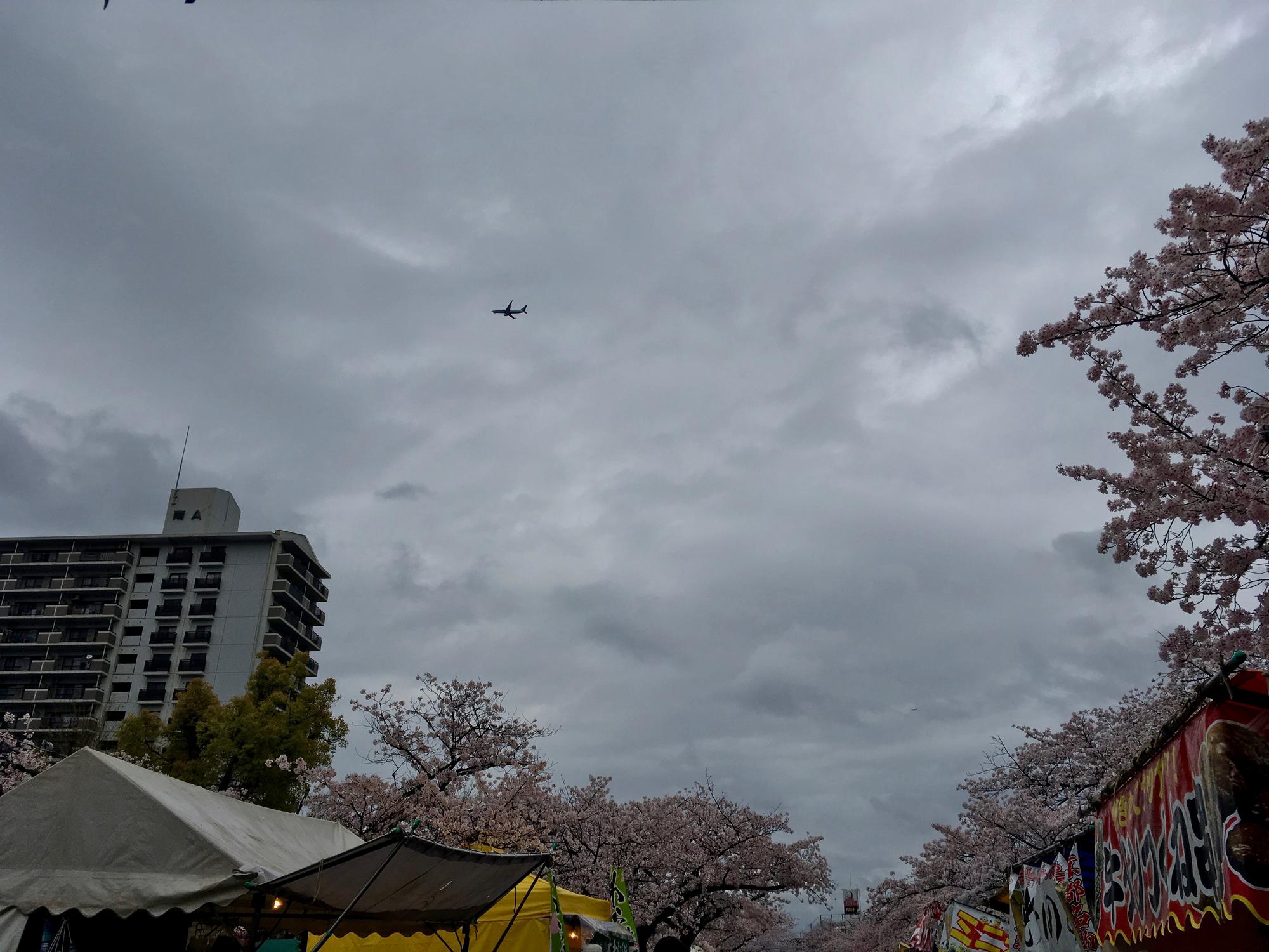 🇯🇵 Osaka, Japan, April 2017.